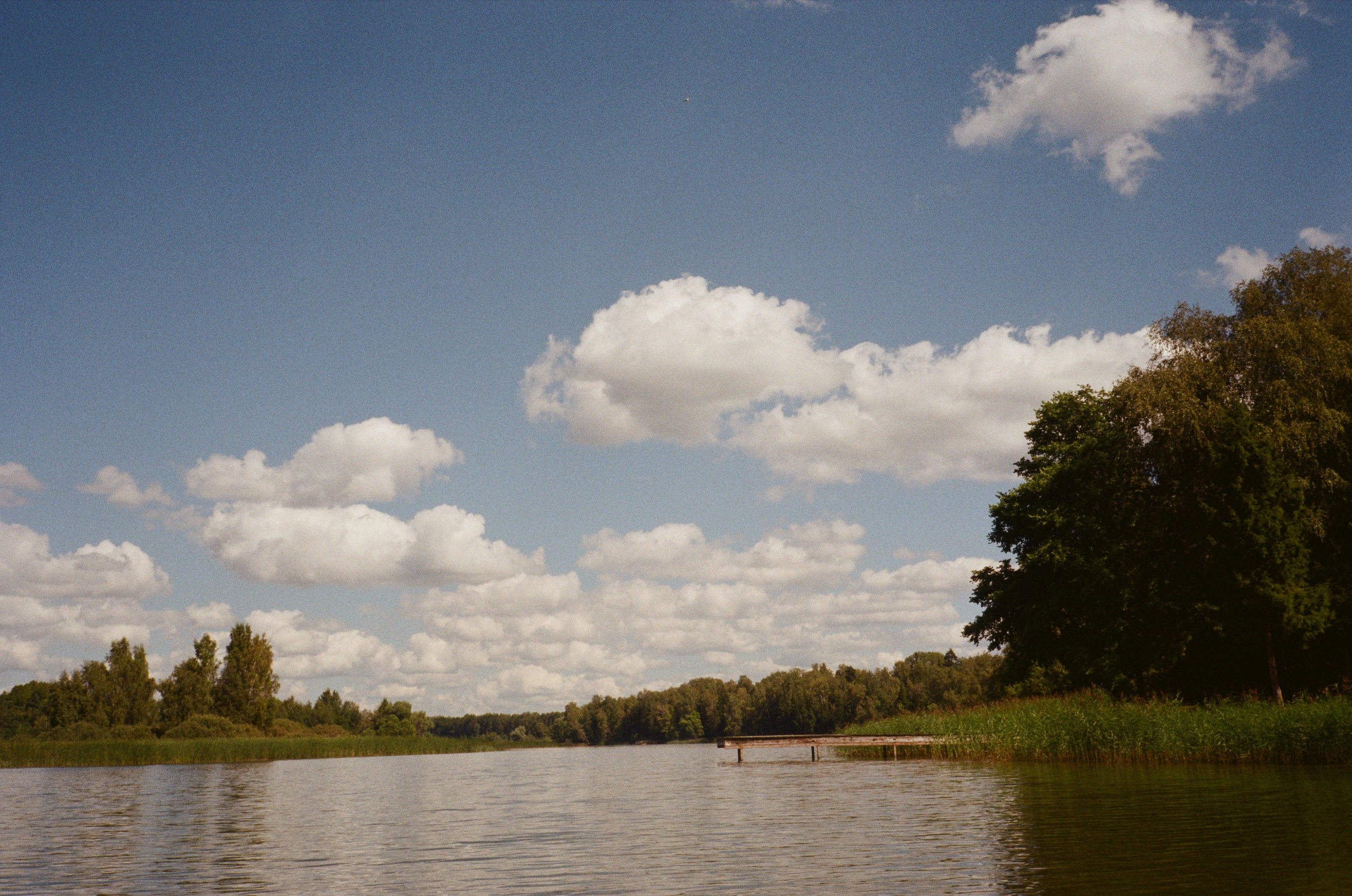 Тихая заводь. Сапборд. Фотограф-документалист Мария Осокина