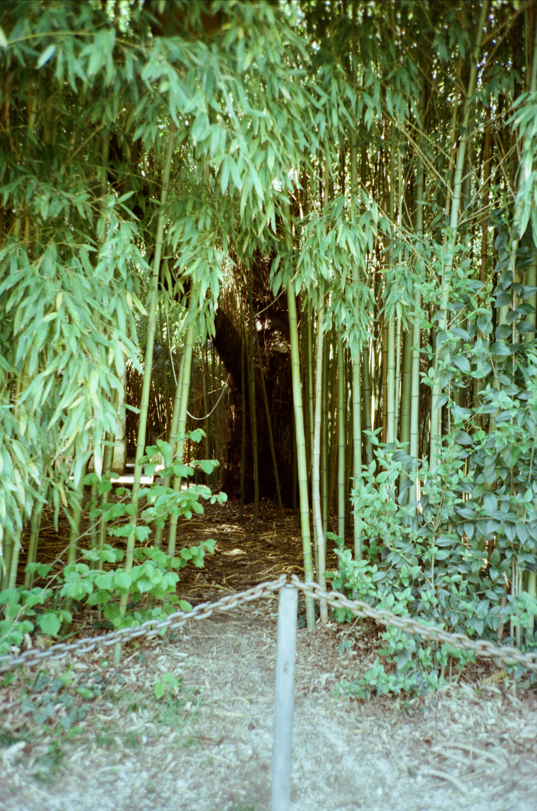 Экзотика Южных культур. Фотограф-документалист Мария Осокина