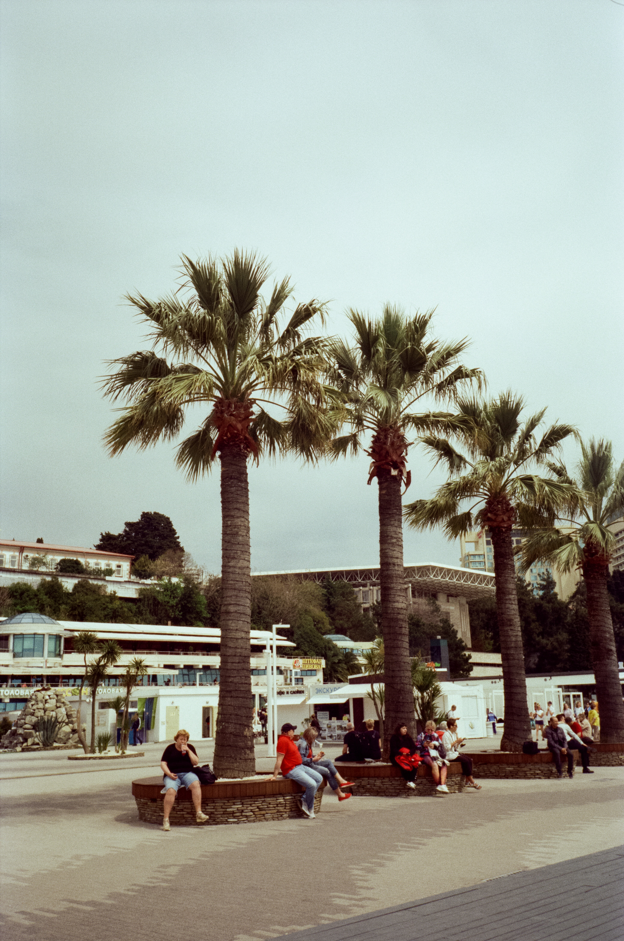 Прогулка по набережной Сочи: море, пальмы и уютная кофейня. Фотограф-документалист Мария Осокина