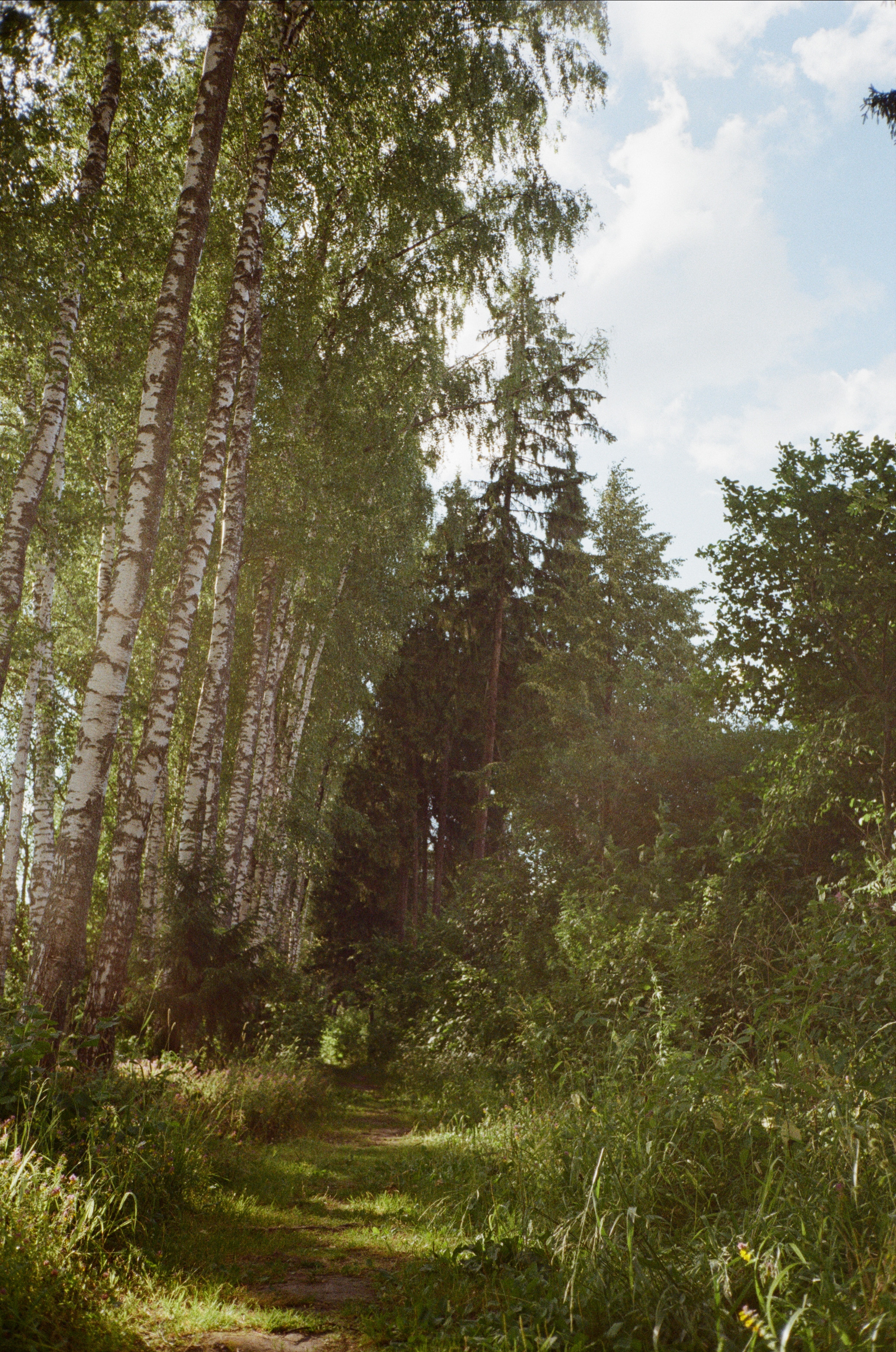 Тихая Заводь. Вечерние прогулки. Фотограф-документалист Мария Осокина