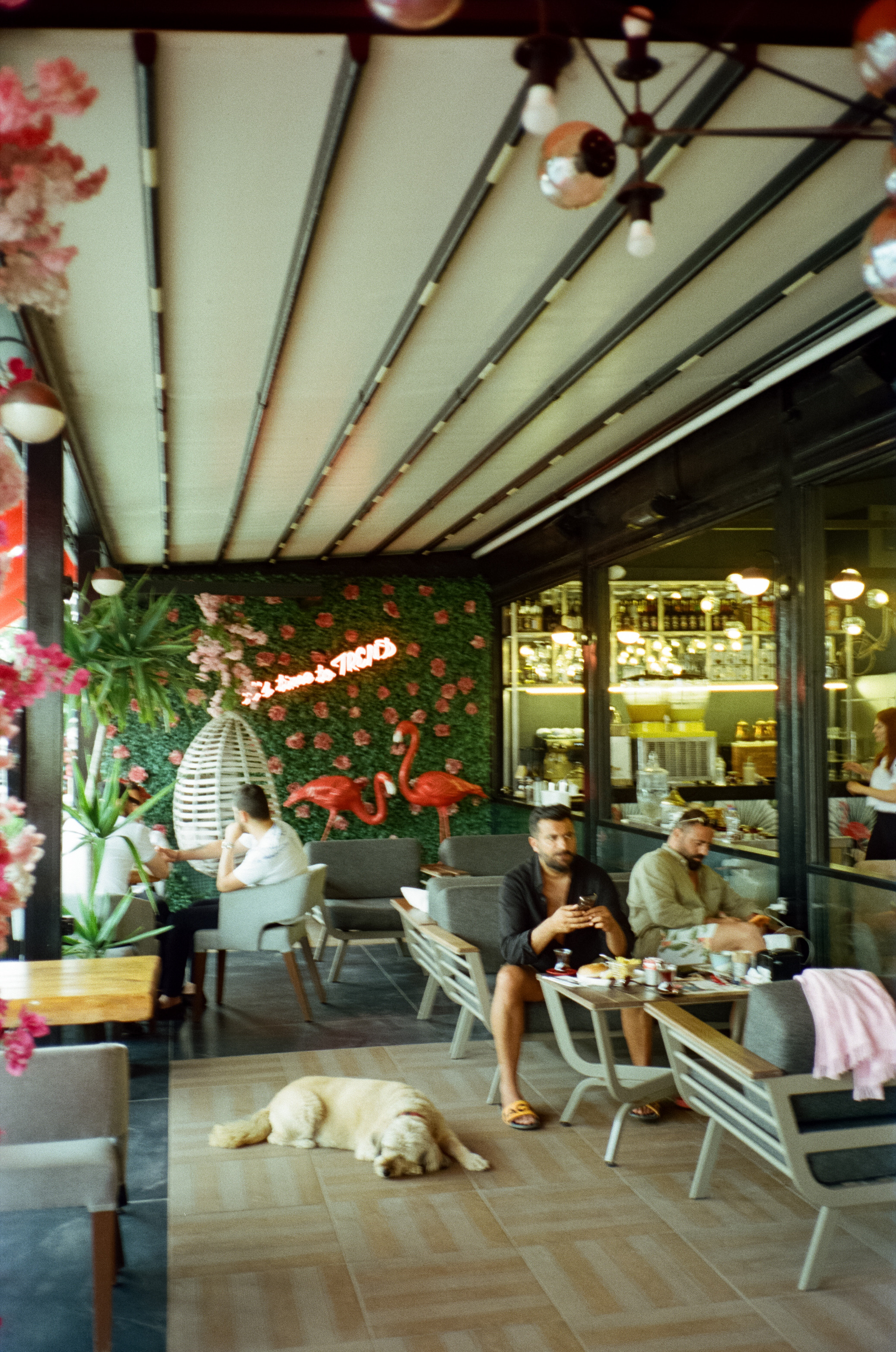 Trend Coffee в Коньяалты. Фотограф-документалист Мария Осокина