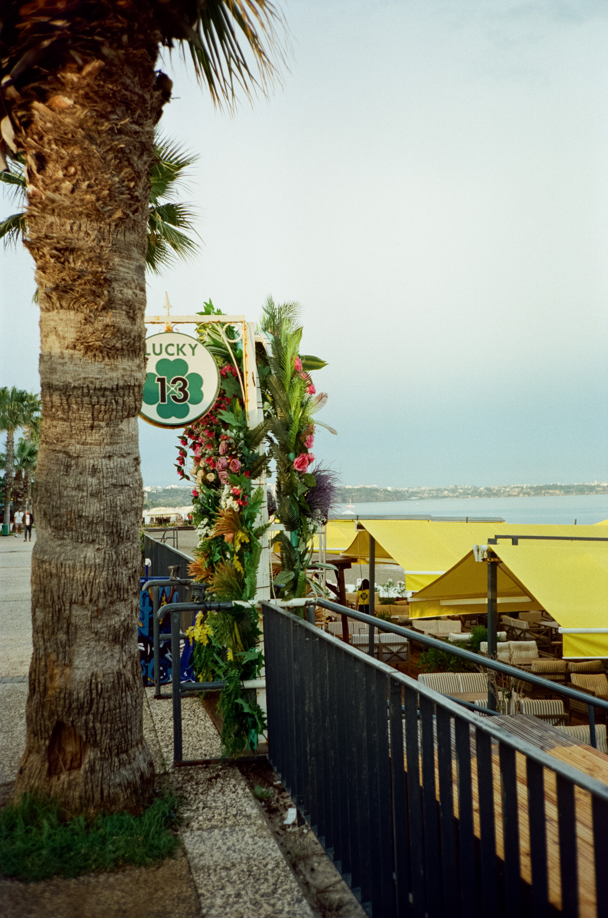 Вечерняя прогулка по набережной Коньяалты: море, корабли, пальмы и жел. Фотограф-документалист Мария Осокина