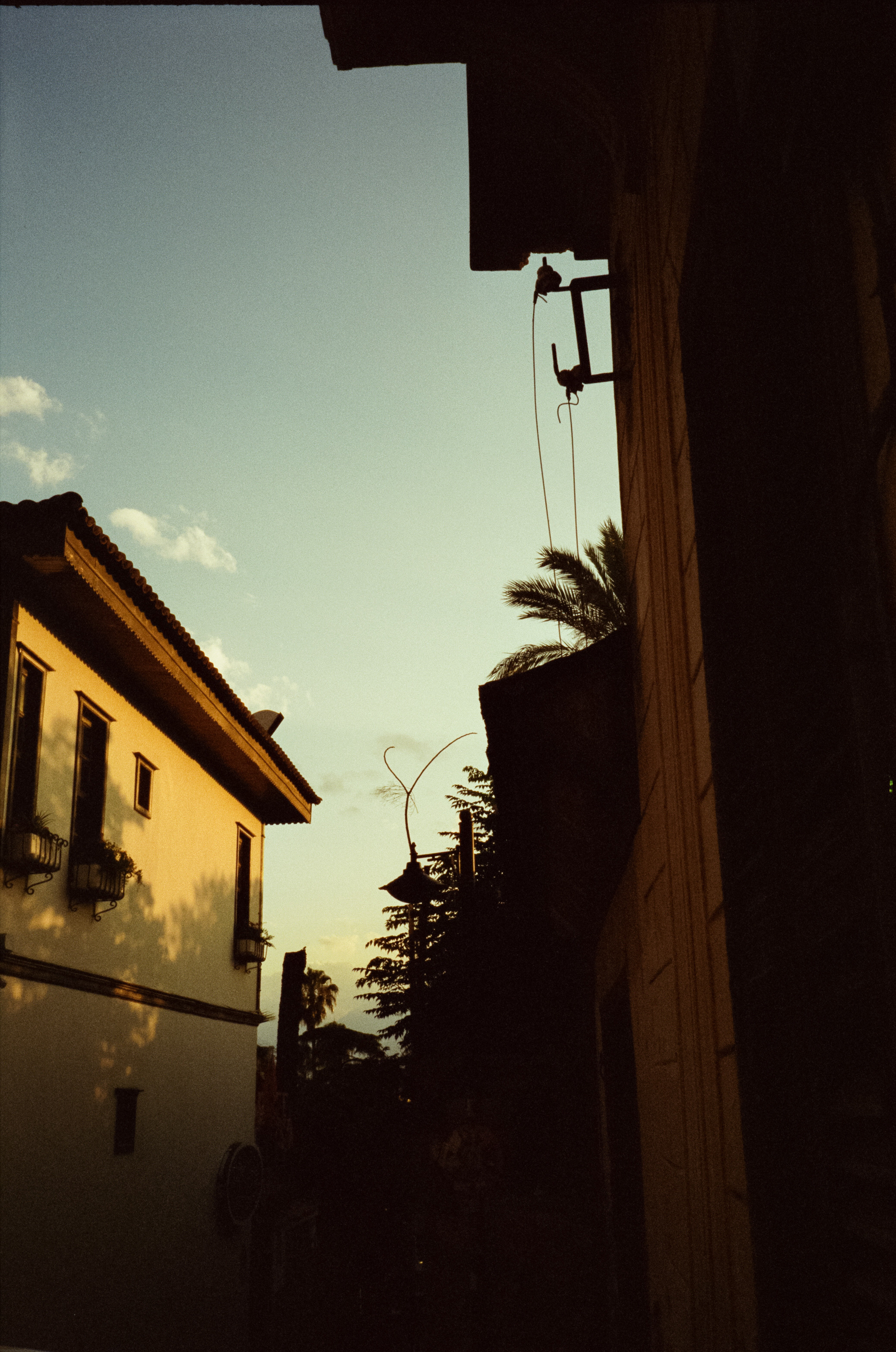 Вечерний Калеичи, Golden hour и закат. Фотограф-документалист Мария Осокина