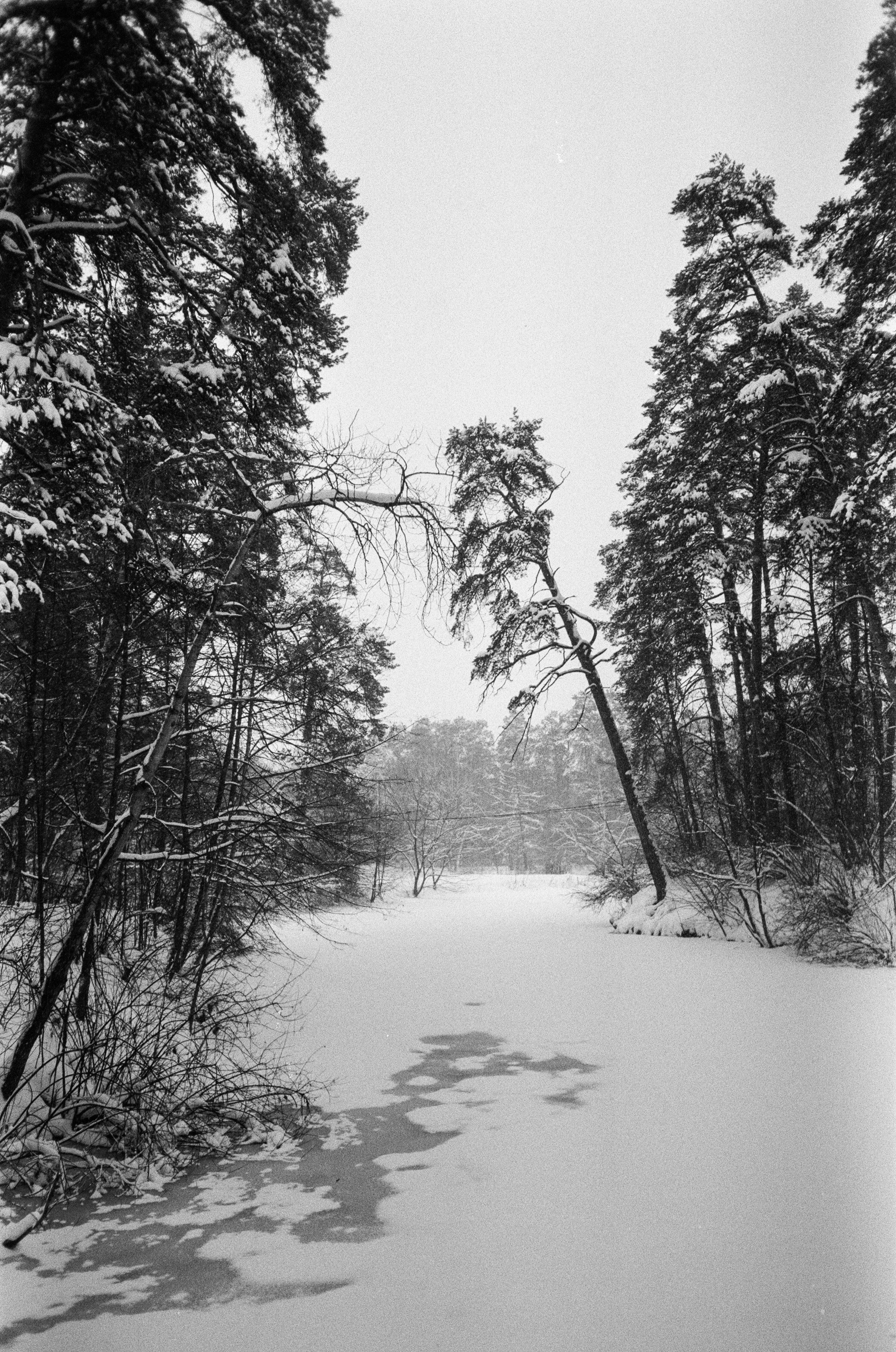 Серебряный Бор. Черно-белая зима. Фотограф-документалист Мария Осокина