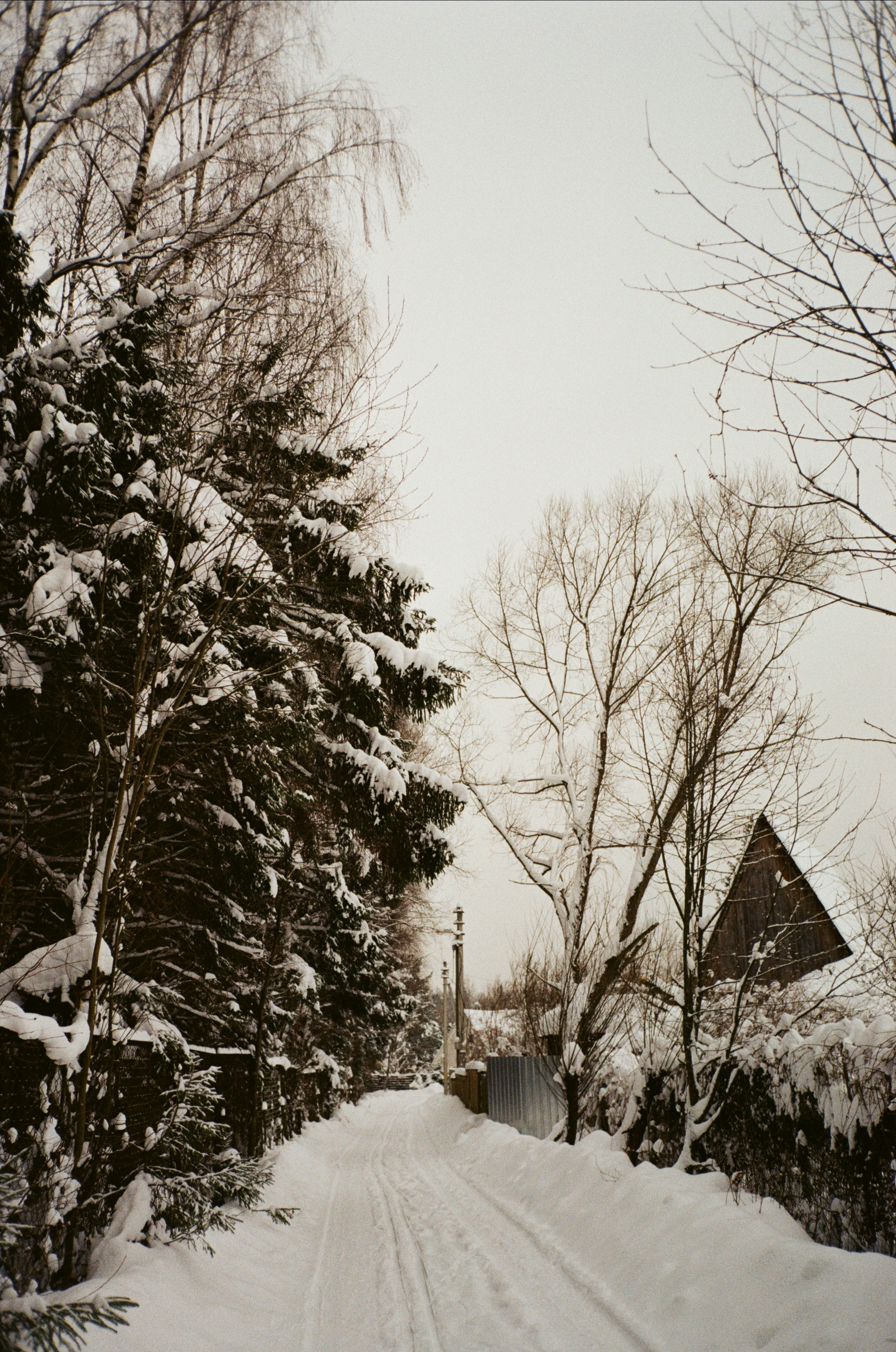 Давыдовское. Снежный декабрь. Фотограф-документалист Мария Осокина