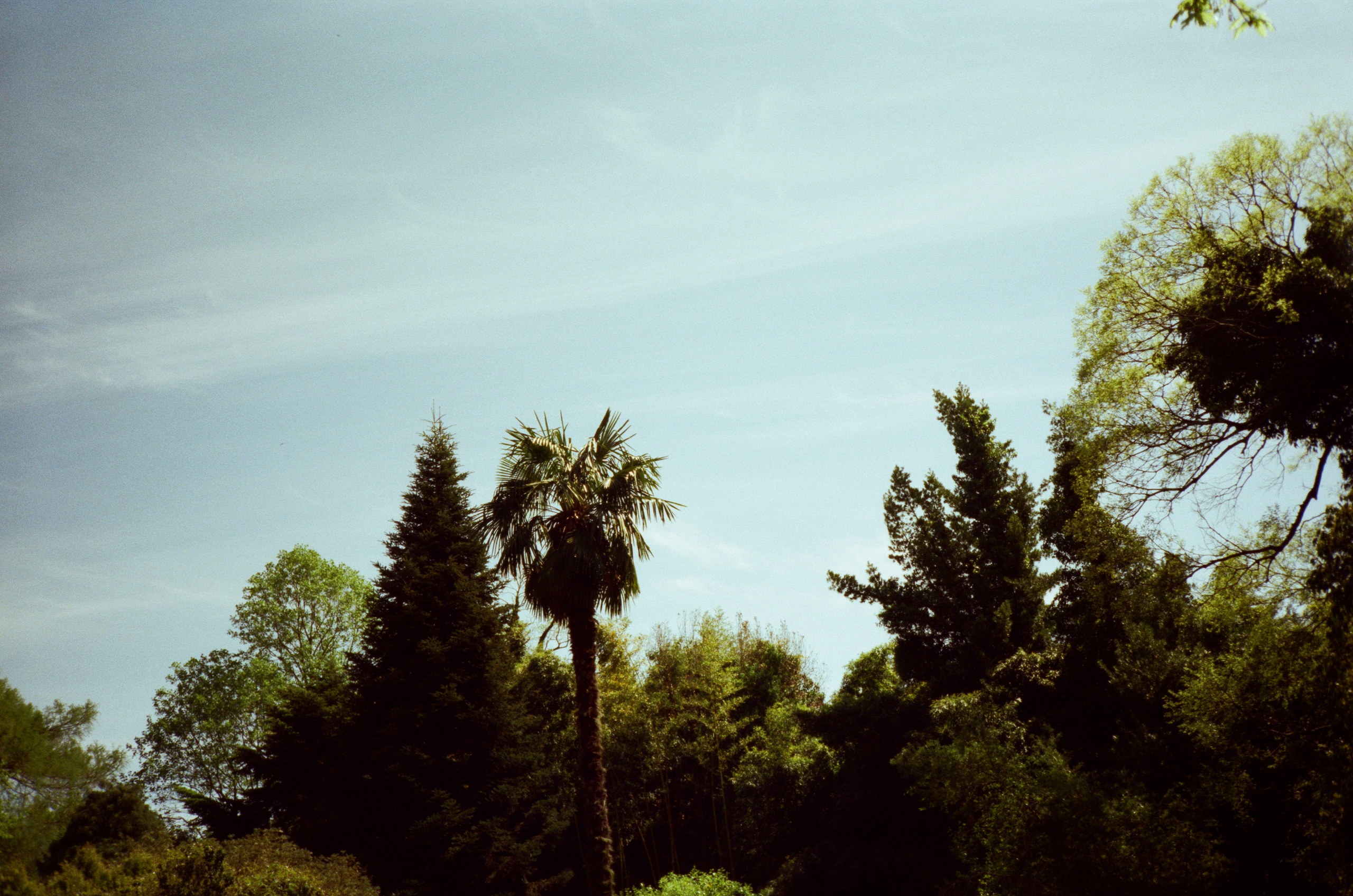 Экзотика Южных культур. Фотограф-документалист Мария Осокина