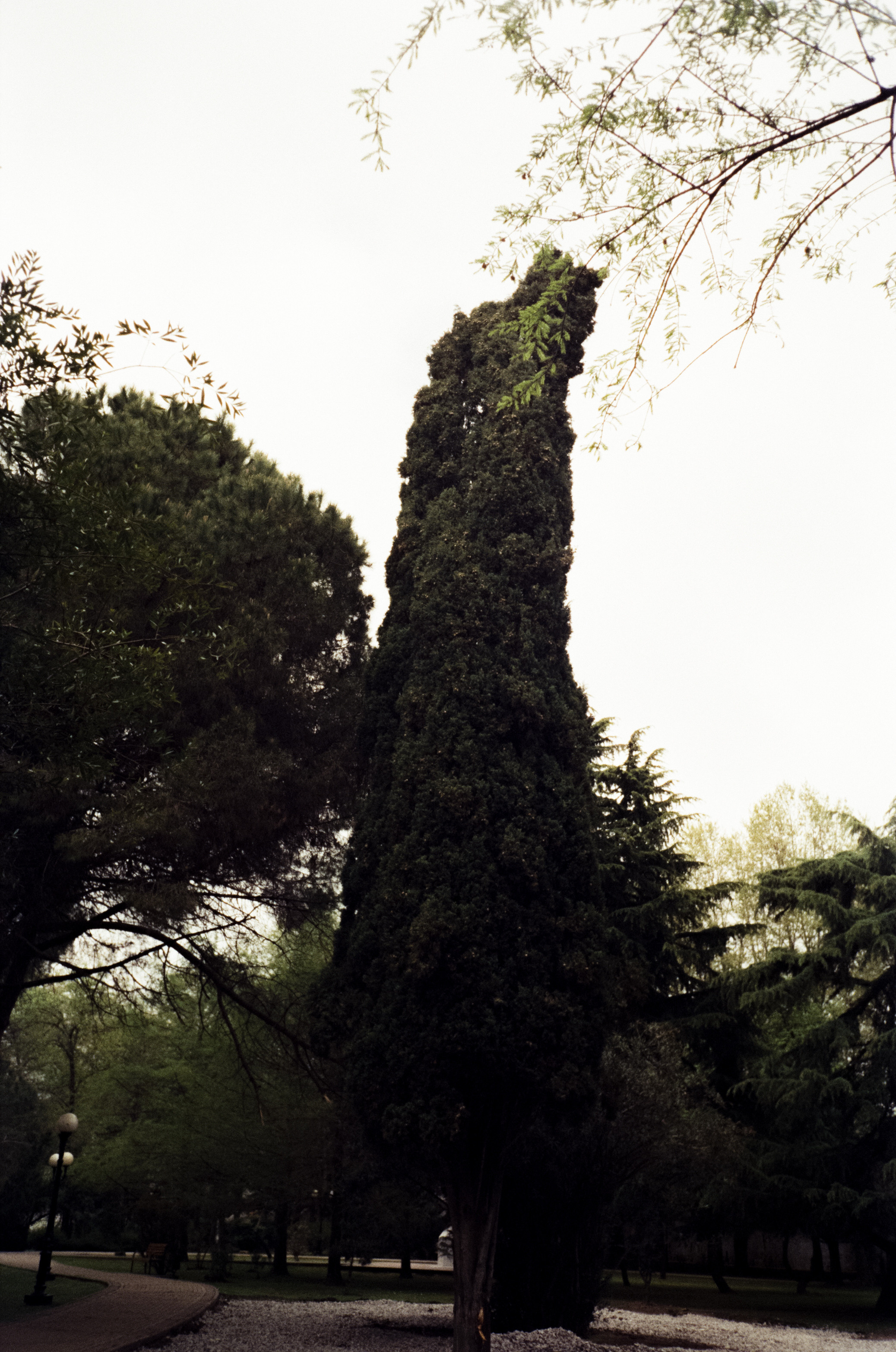 Комсомольский сквер, улочки Сочи и морской порт. Фотограф-документалист Мария Осокина