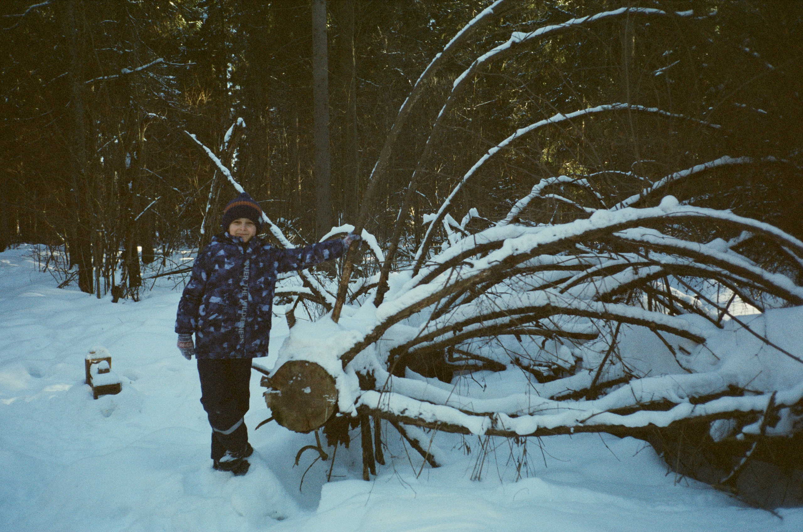Лесная прогулка в День Рождения. Фотограф-документалист Мария Осокина