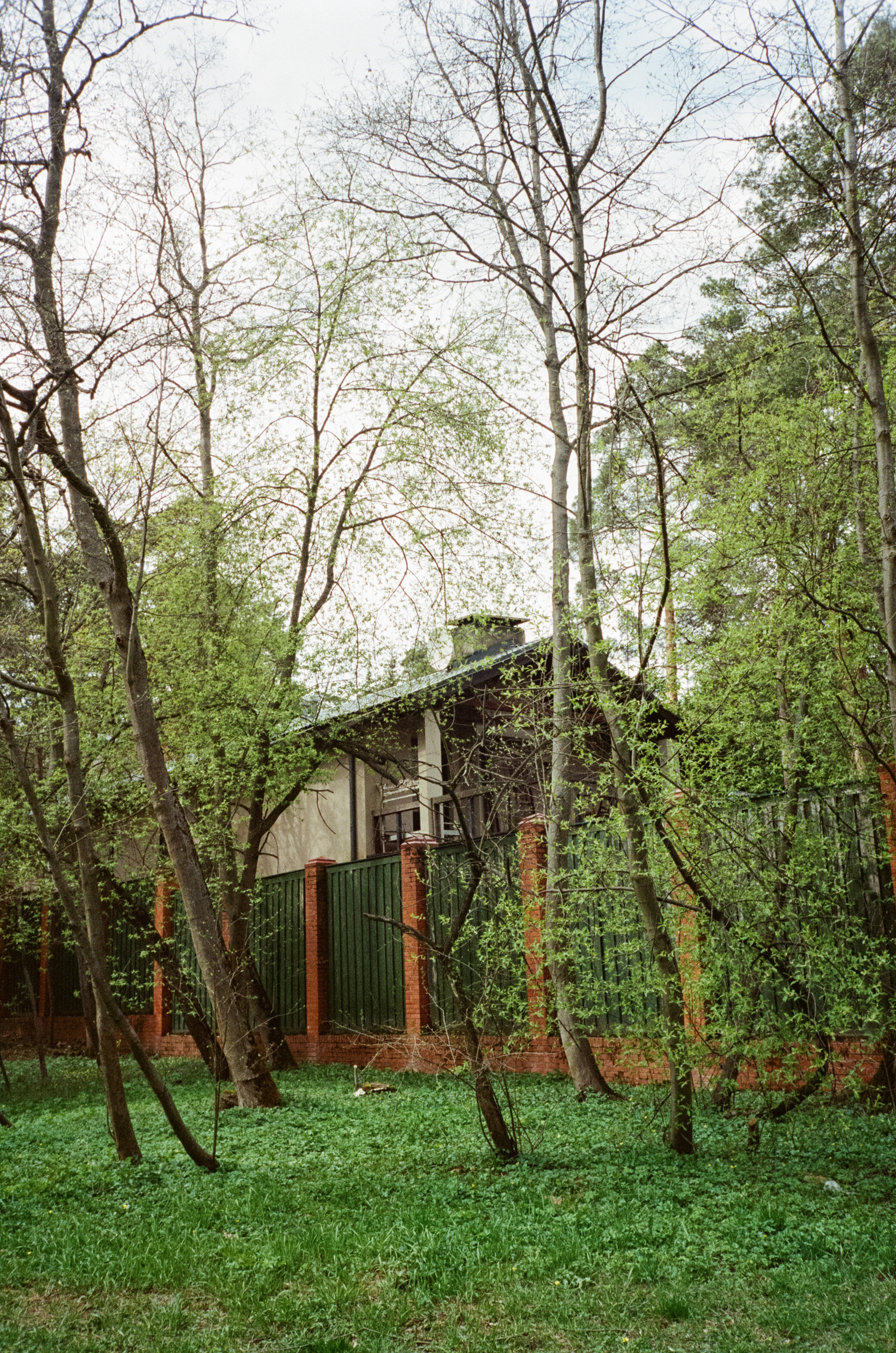 Серебряный бор. Весна. Фотограф-документалист Мария Осокина
