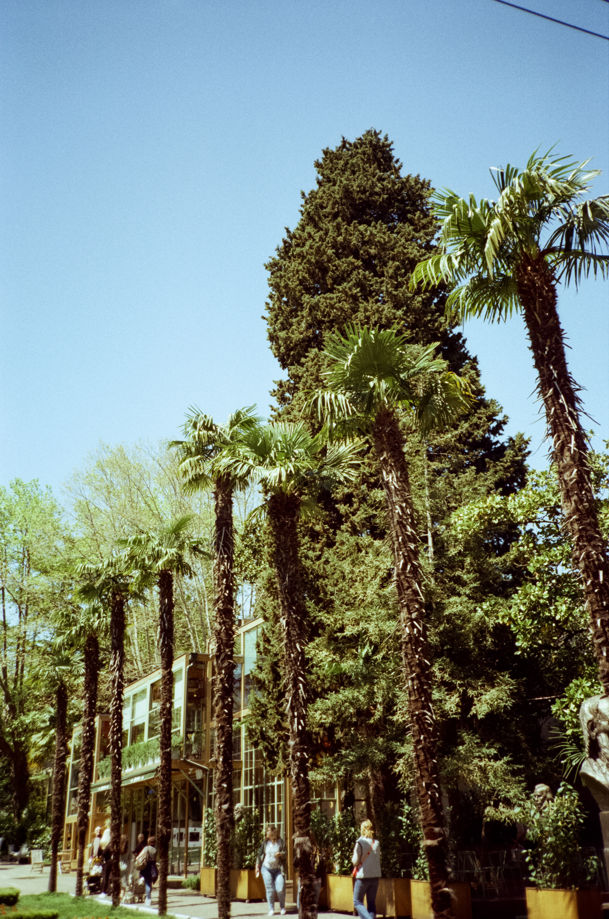 Парк Ривьера. Фотограф-документалист Мария Осокина
