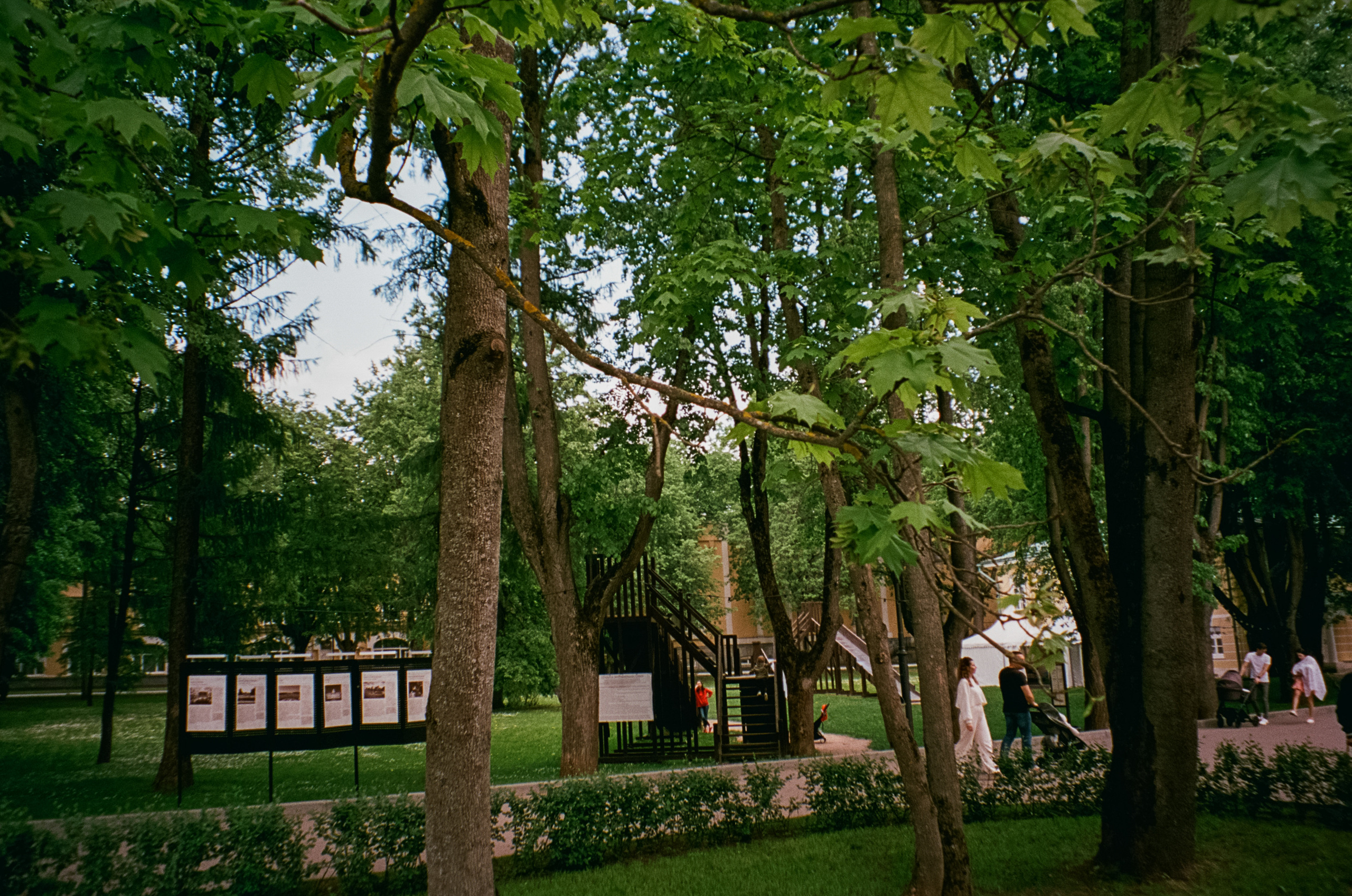 Архангельское. Июнь. Фотограф-документалист Мария Осокина