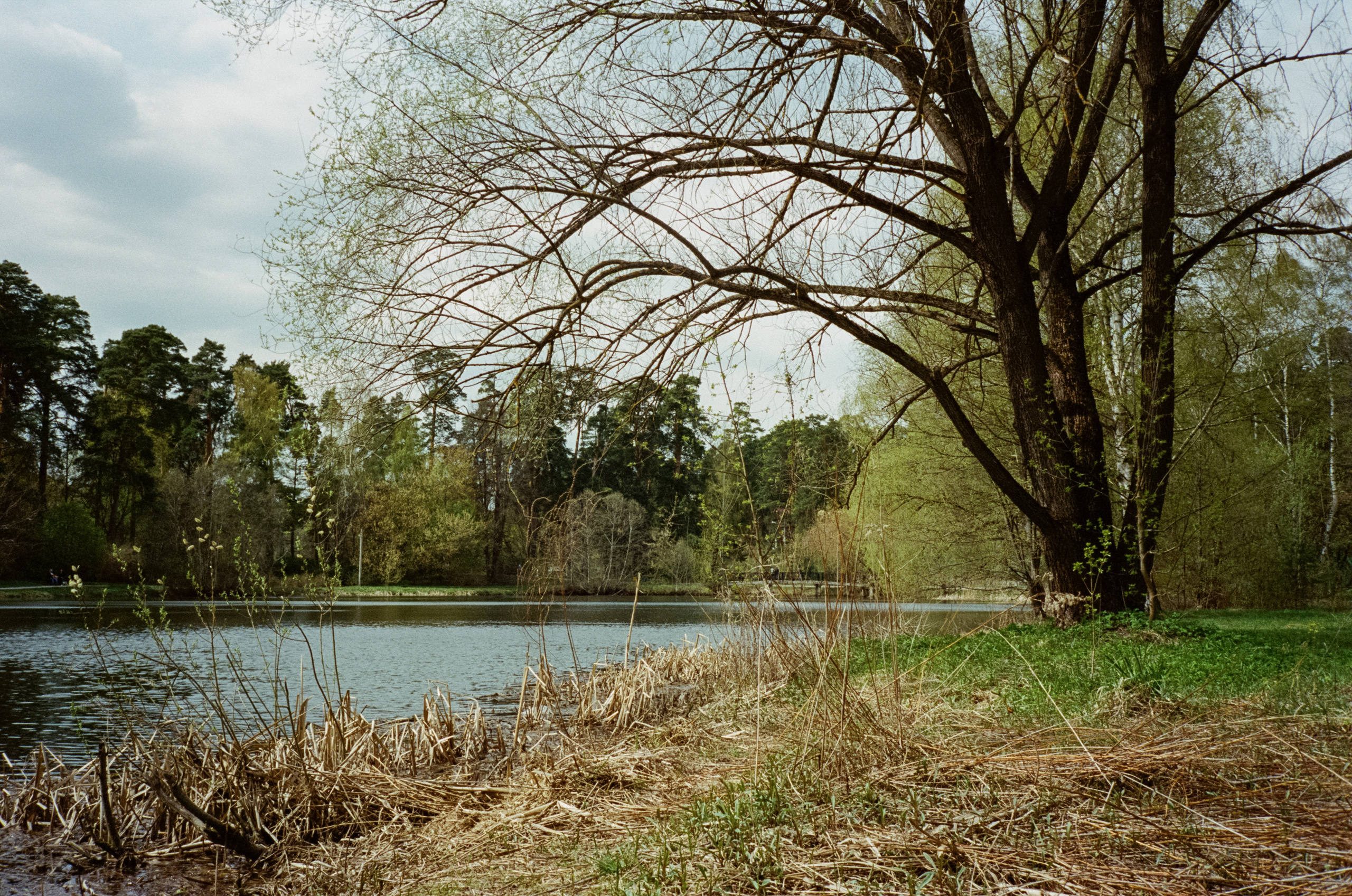 Серебряный бор. Весна. Фотограф-документалист Мария Осокина