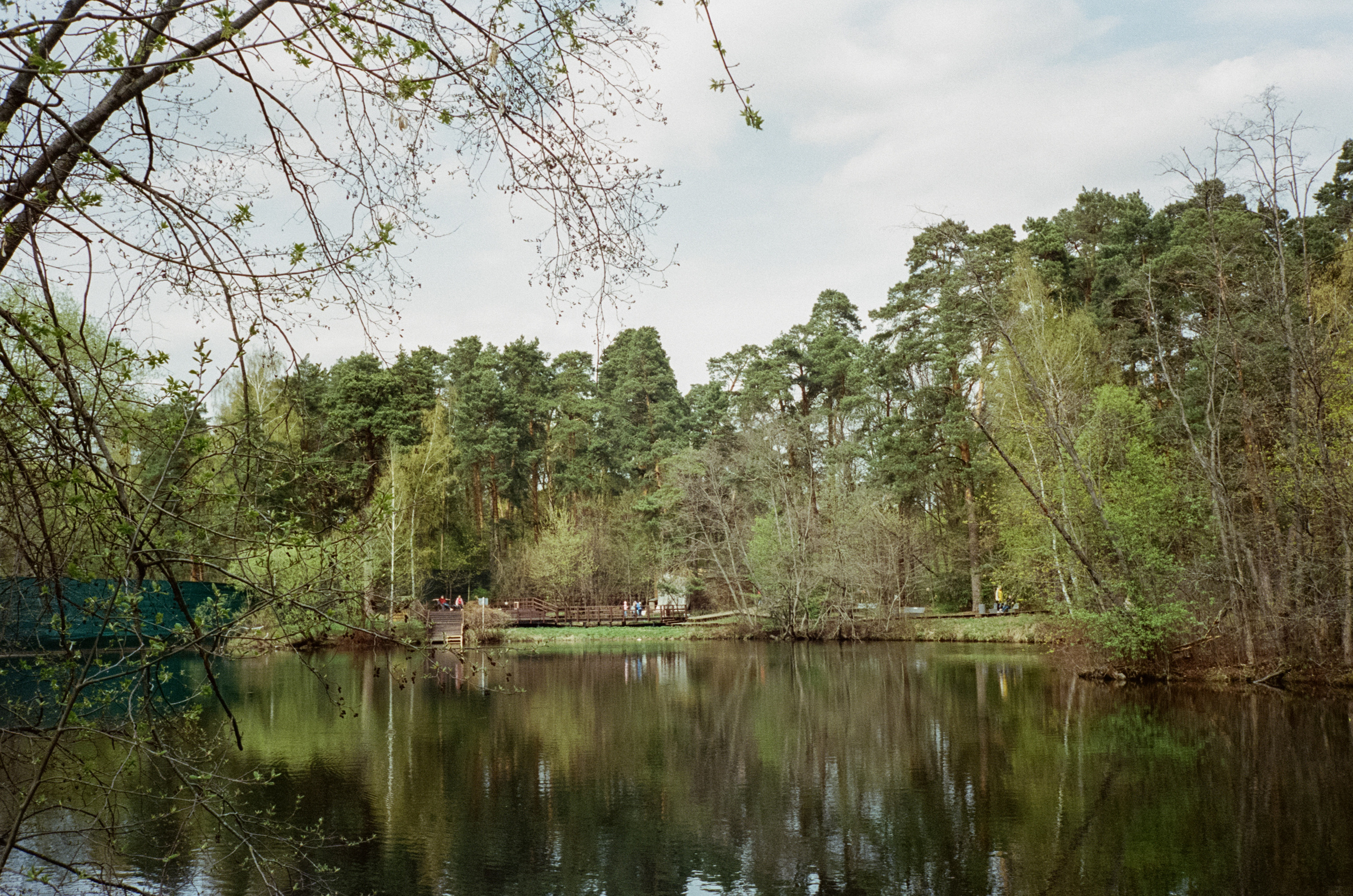 Серебряный бор. Весна. Фотограф-документалист Мария Осокина