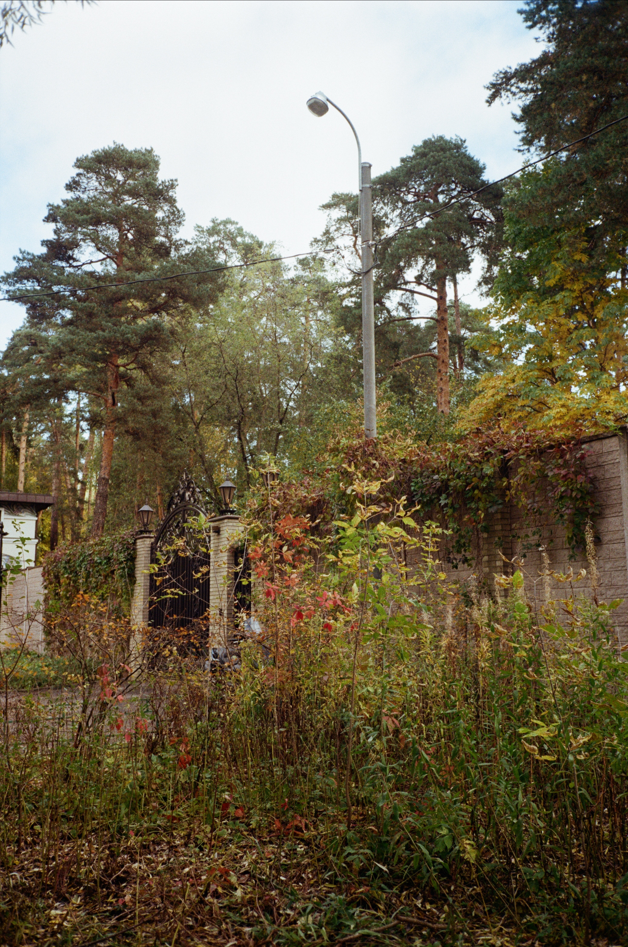 Серебряный Бор. Октябрь. Фотограф-документалист Мария Осокина