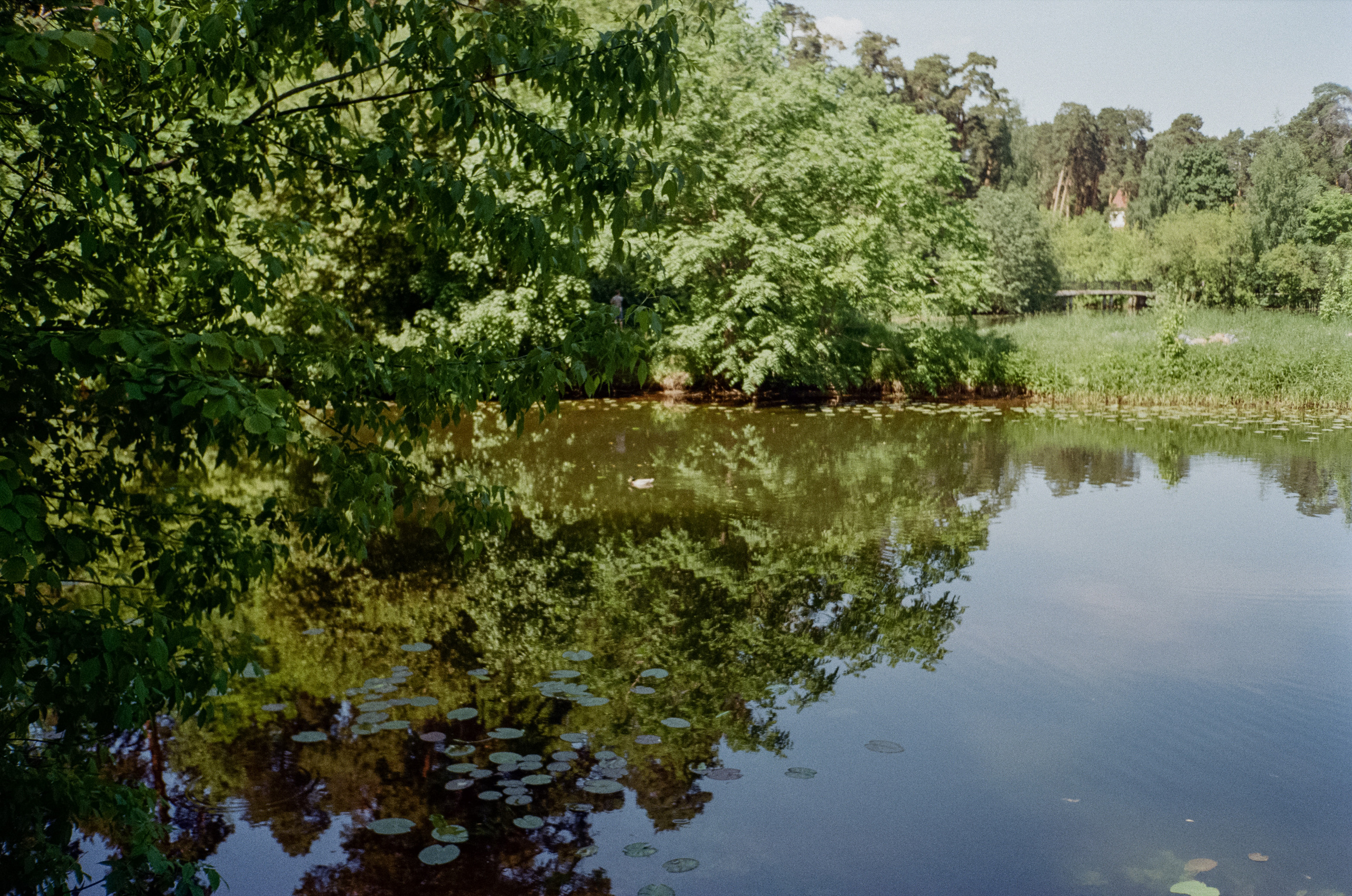 Серебряный Бор. Импрессионизм. Фотограф-документалист Мария Осокина