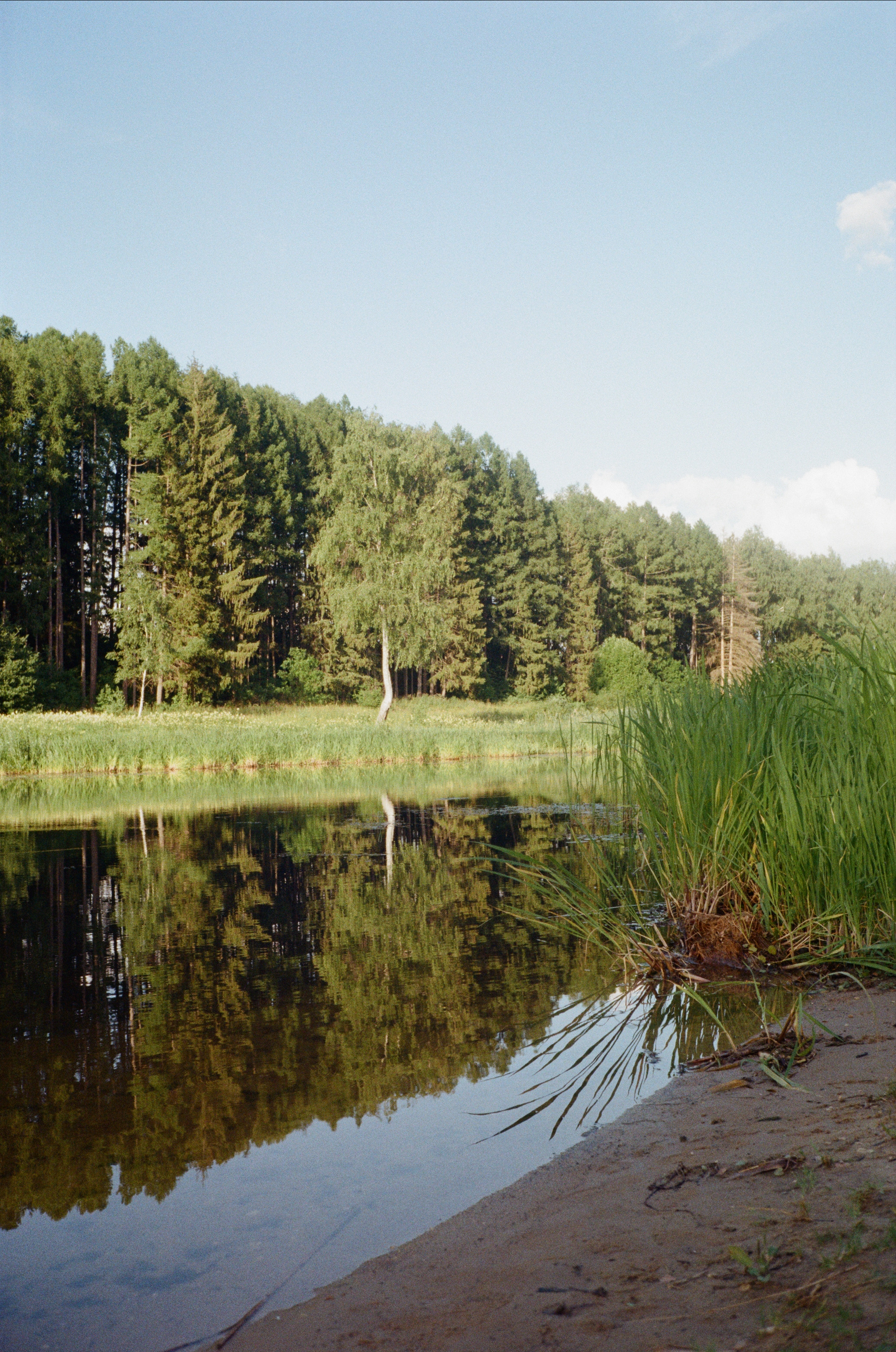 Тихая Заводь. Вечерние прогулки. Фотограф-документалист Мария Осокина