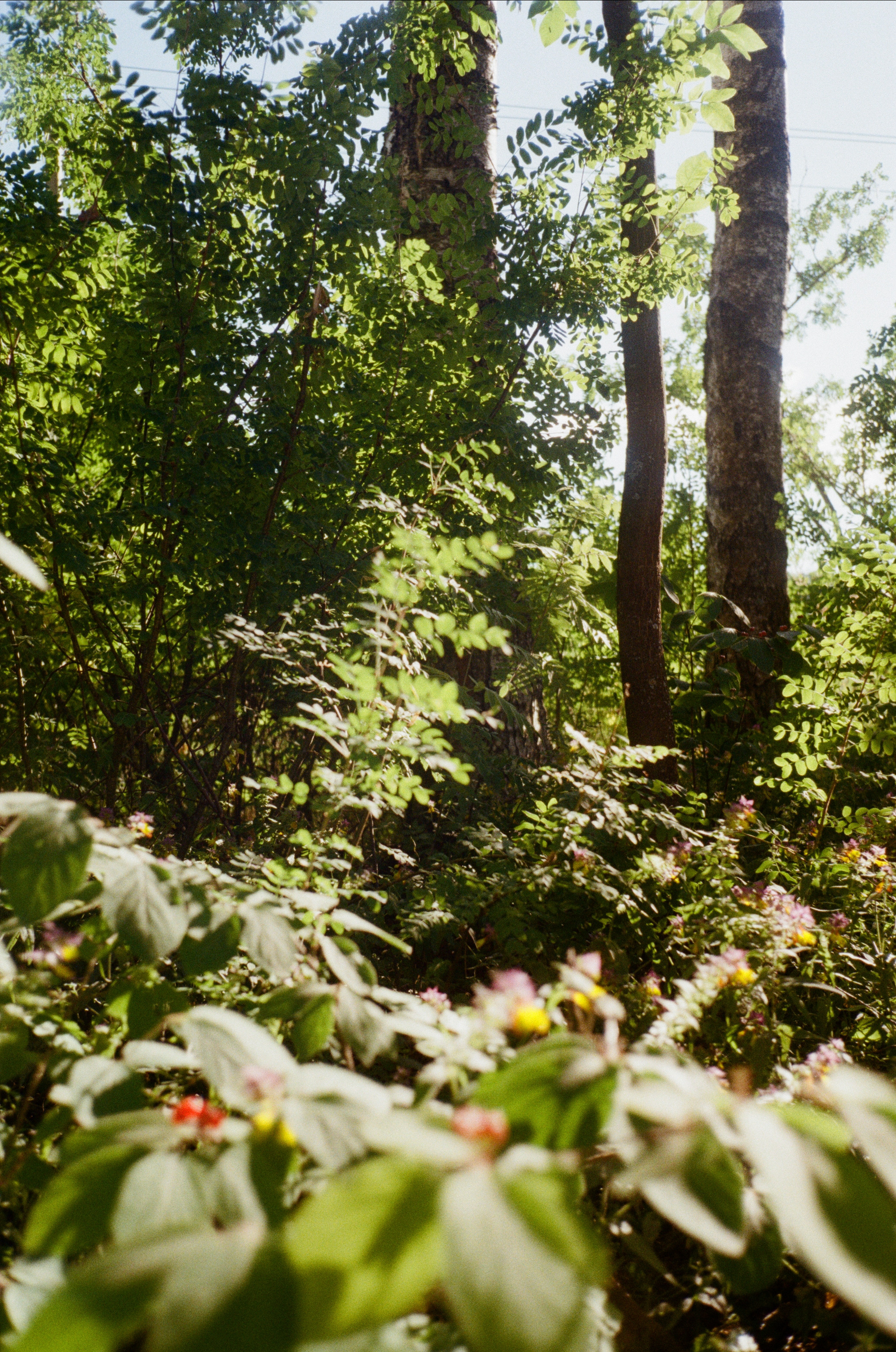 Тихая Заводь. Golden hour. Фотограф-документалист Мария Осокина