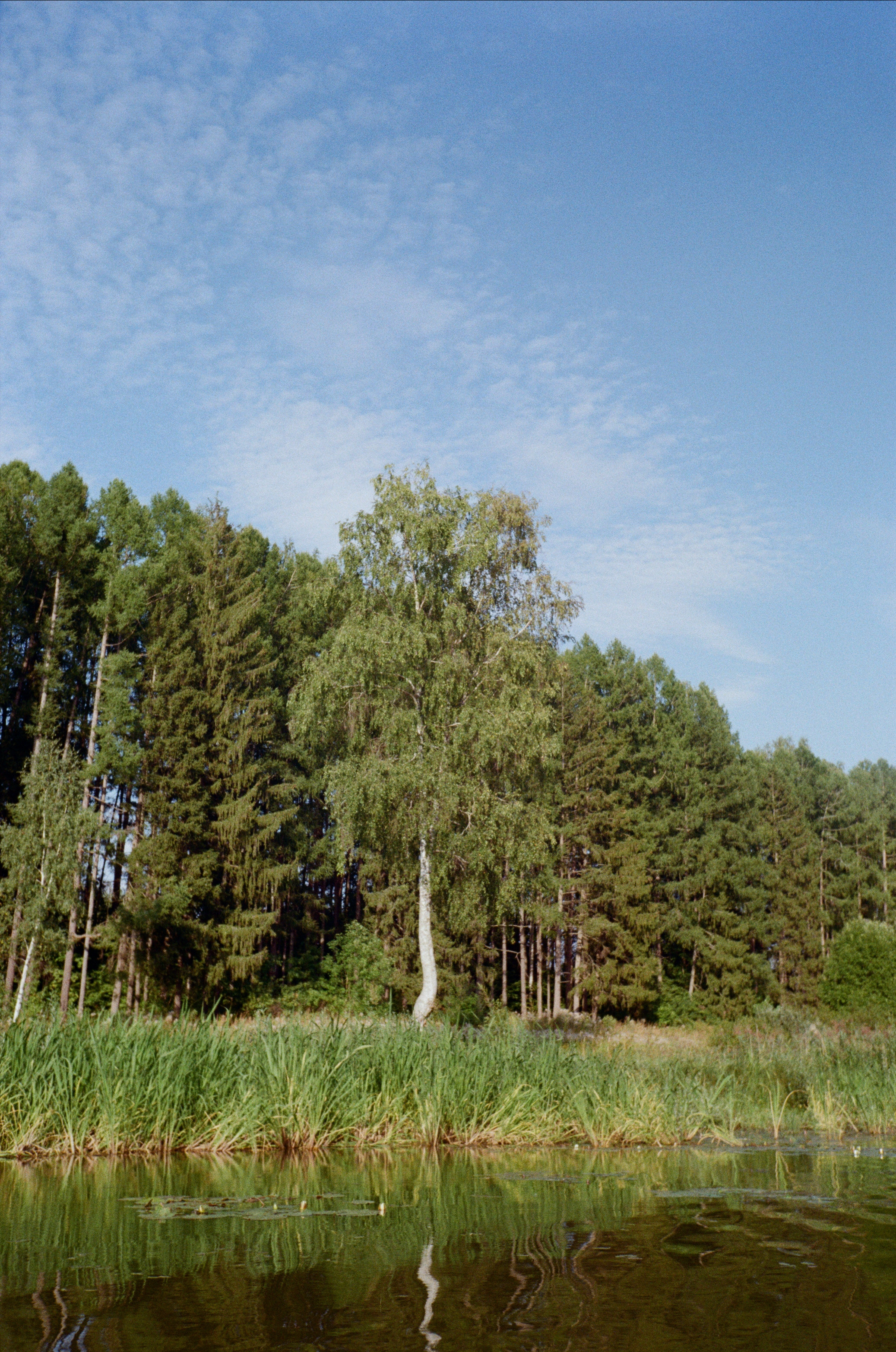 Тихая Заводь. Вечерний sup. Фотограф-документалист Мария Осокина