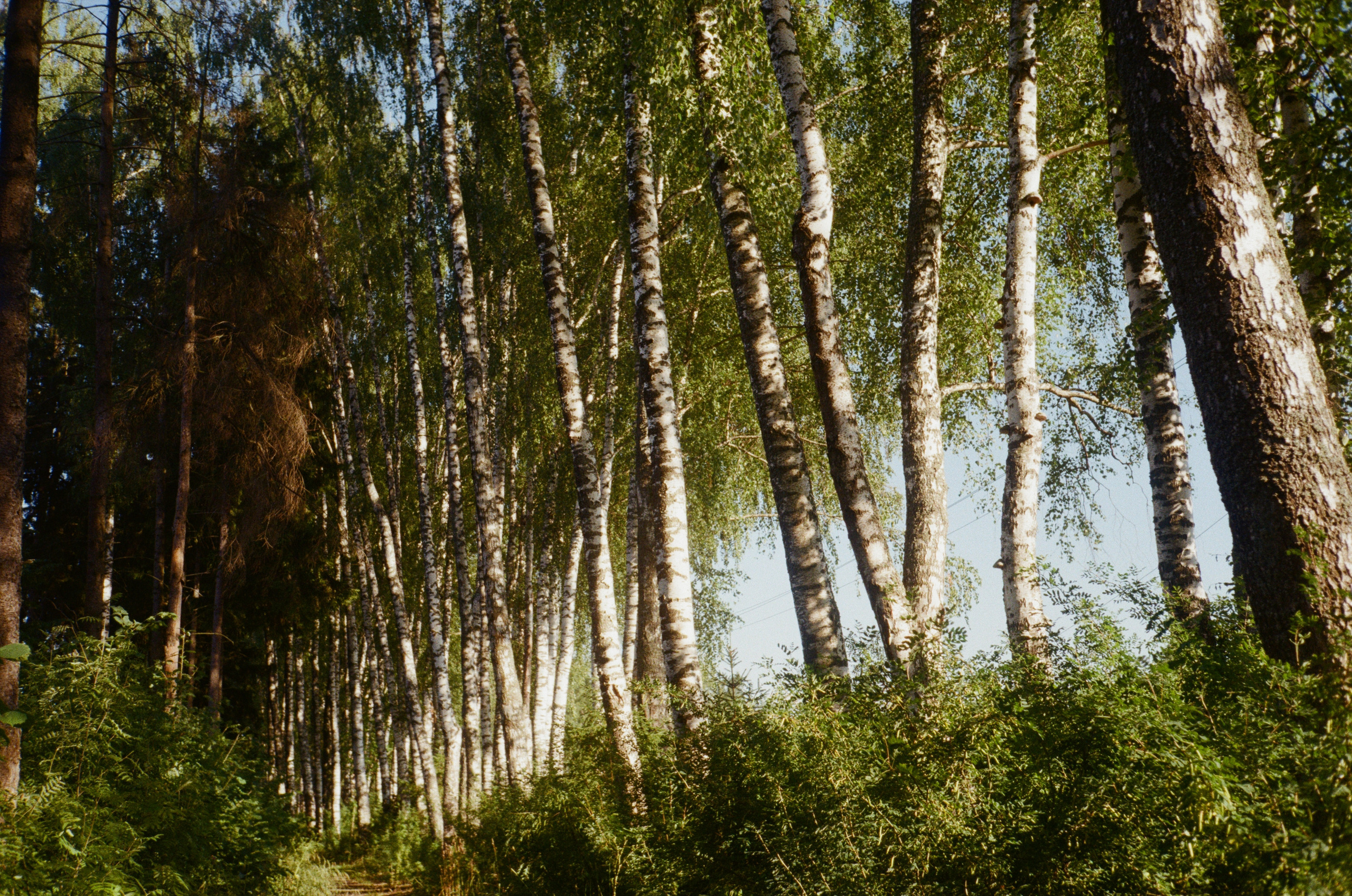 Тихая Заводь. Golden hour. Фотограф-документалист Мария Осокина