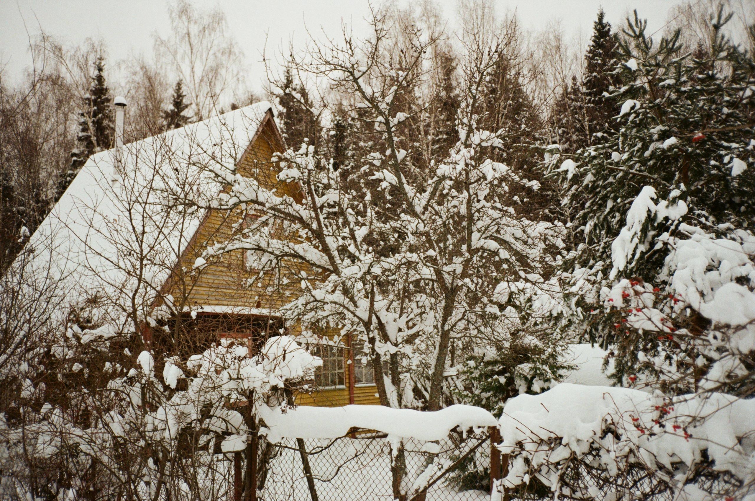Давыдовское. Снежный декабрь. Фотограф-документалист Мария Осокина