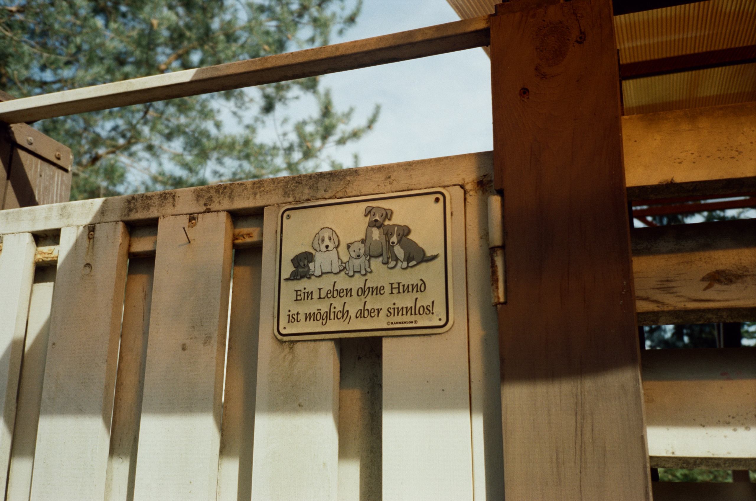 Давыдовское. Вход-выход. Фотограф-документалист Мария Осокина