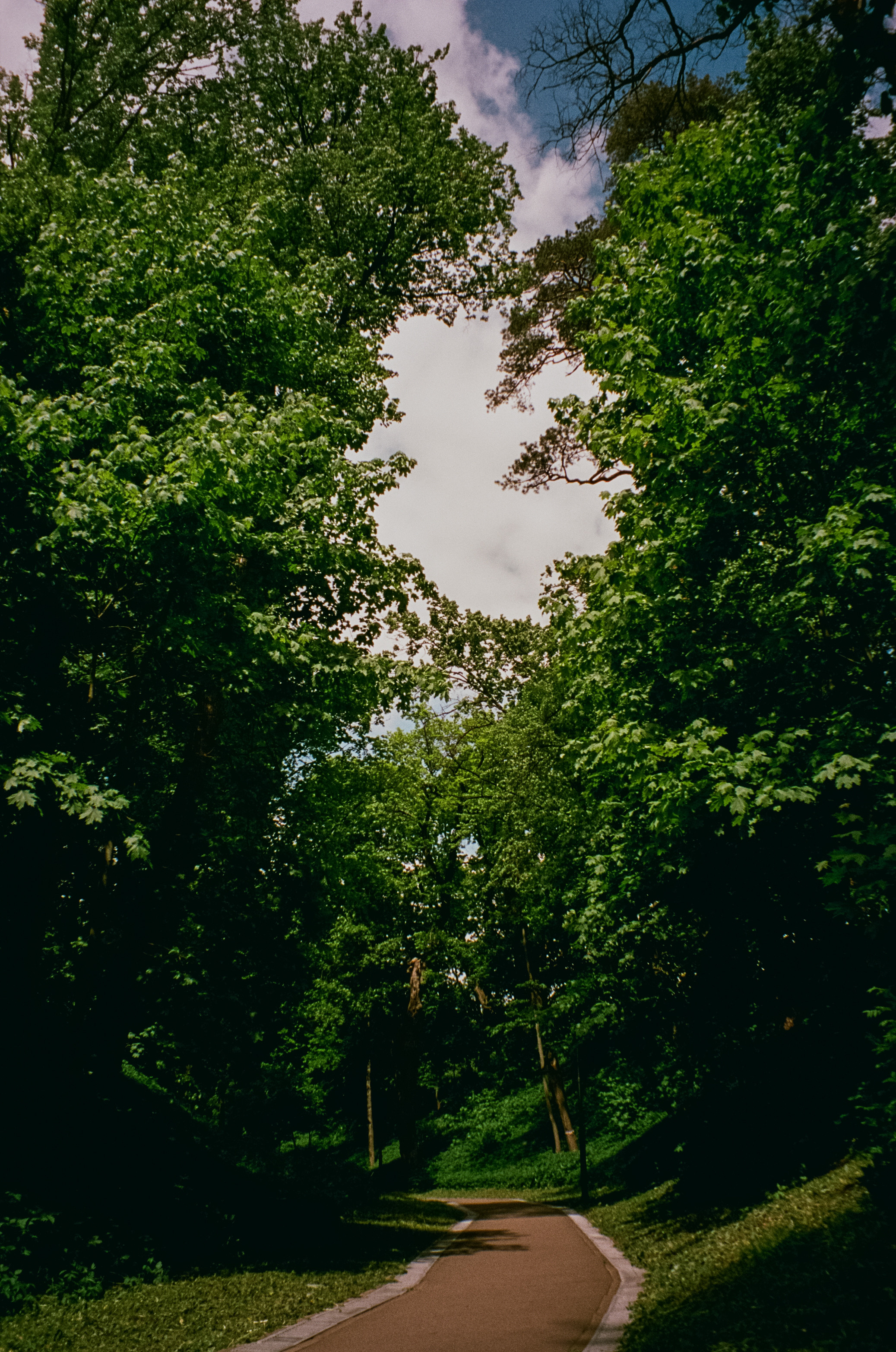 Архангельское. Июнь. Фотограф-документалист Мария Осокина