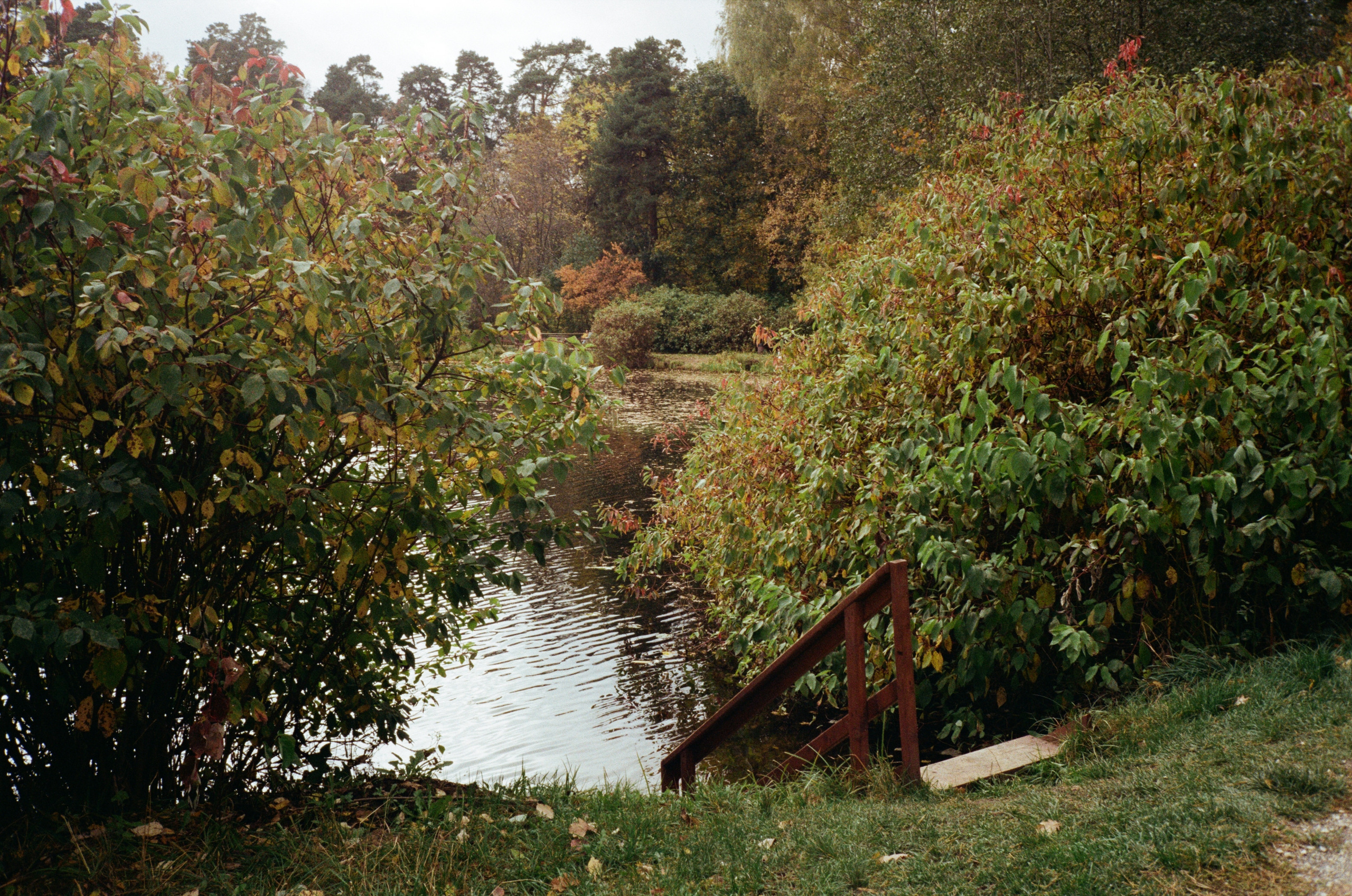 Серебряный Бор. Октябрь. Фотограф-документалист Мария Осокина