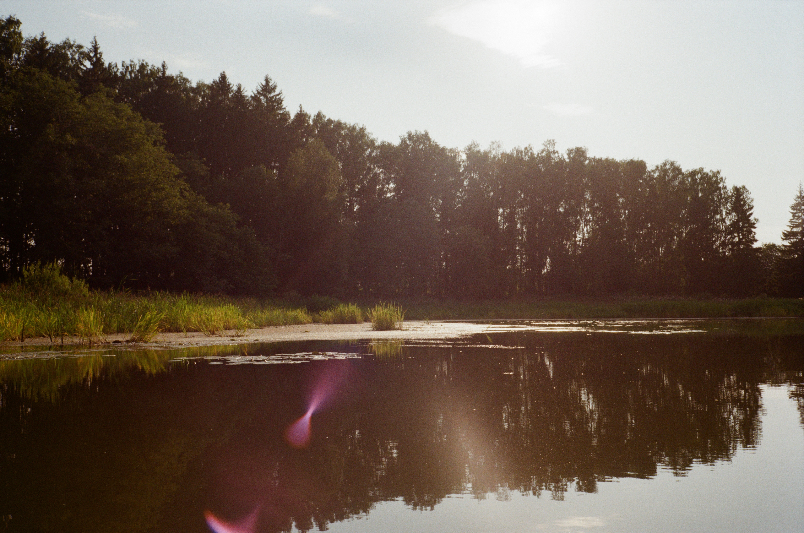 Тихая Заводь. Вечерний sup. Фотограф-документалист Мария Осокина