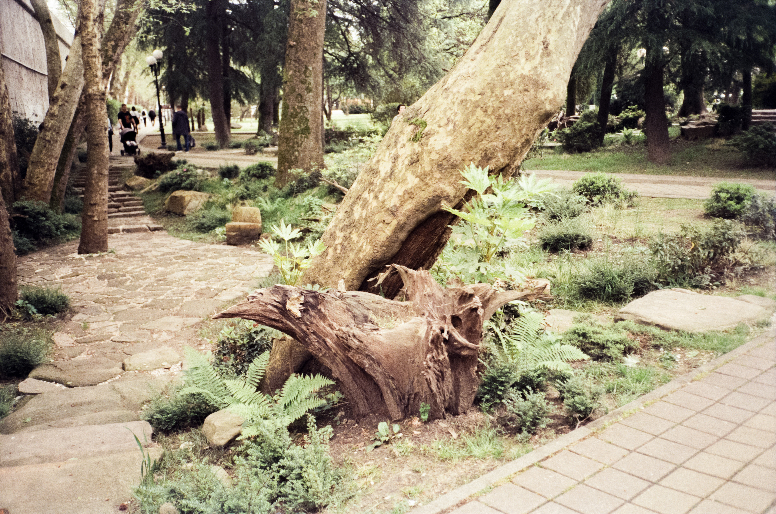 Комсомольский сквер, улочки Сочи и морской порт. Фотограф-документалист Мария Осокина