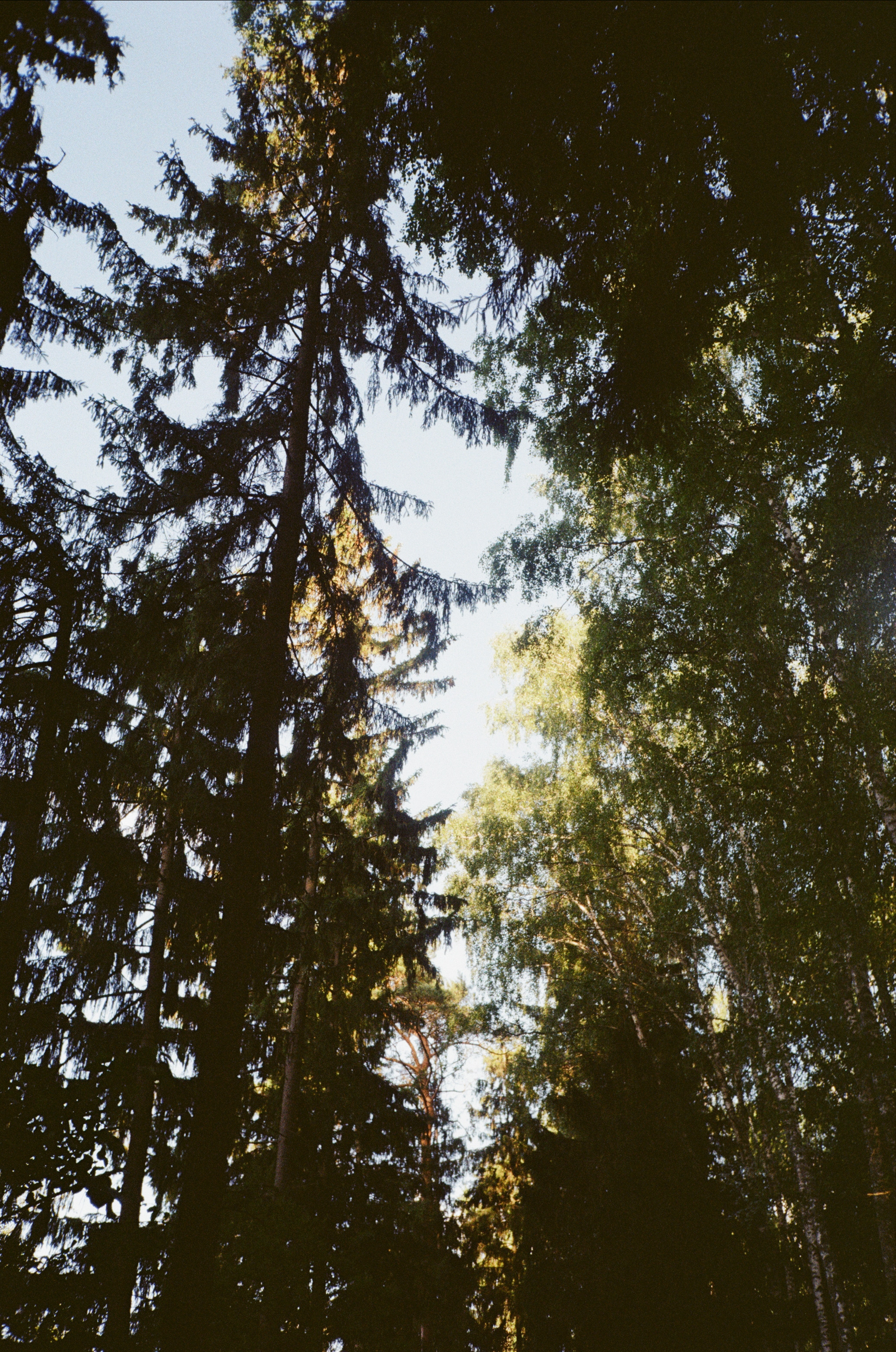 Тихая Заводь. Вечерние прогулки. Фотограф-документалист Мария Осокина