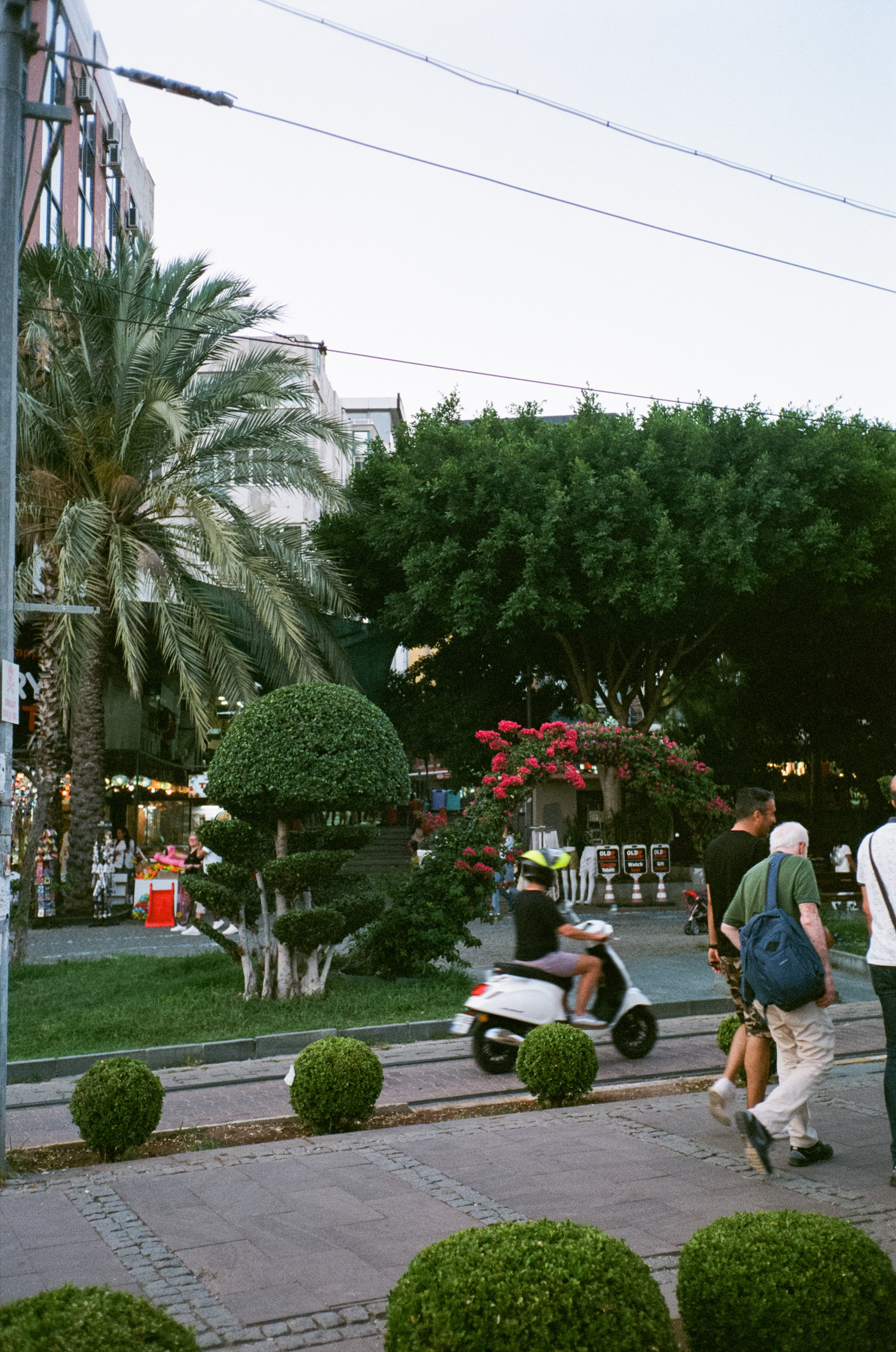 Аллея зонтиков и ночная Марина старого города. Фотограф-документалист Мария Осокина