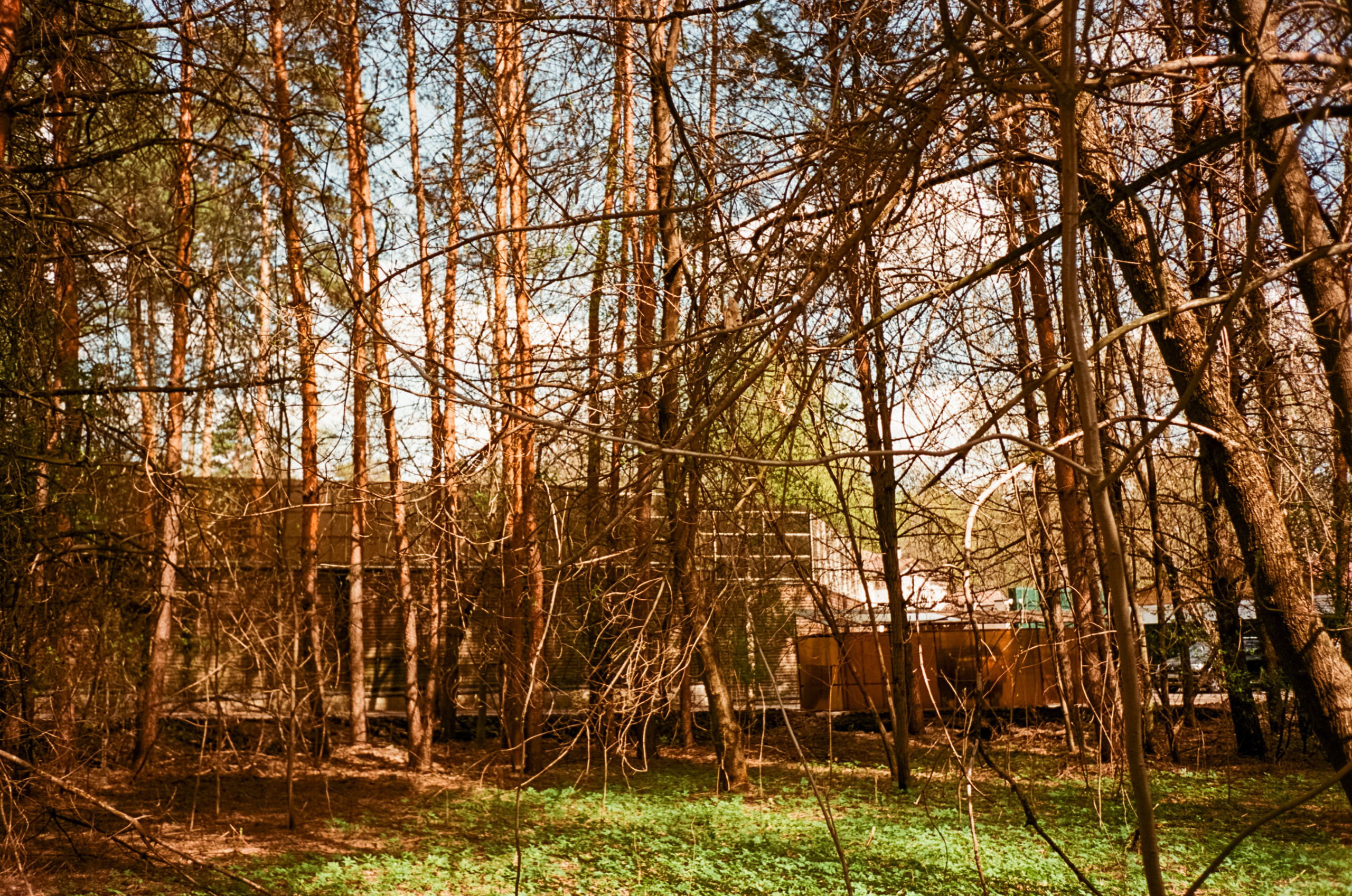 Серебряный Бор. Май. Сепия. Фотограф-документалист Мария Осокина