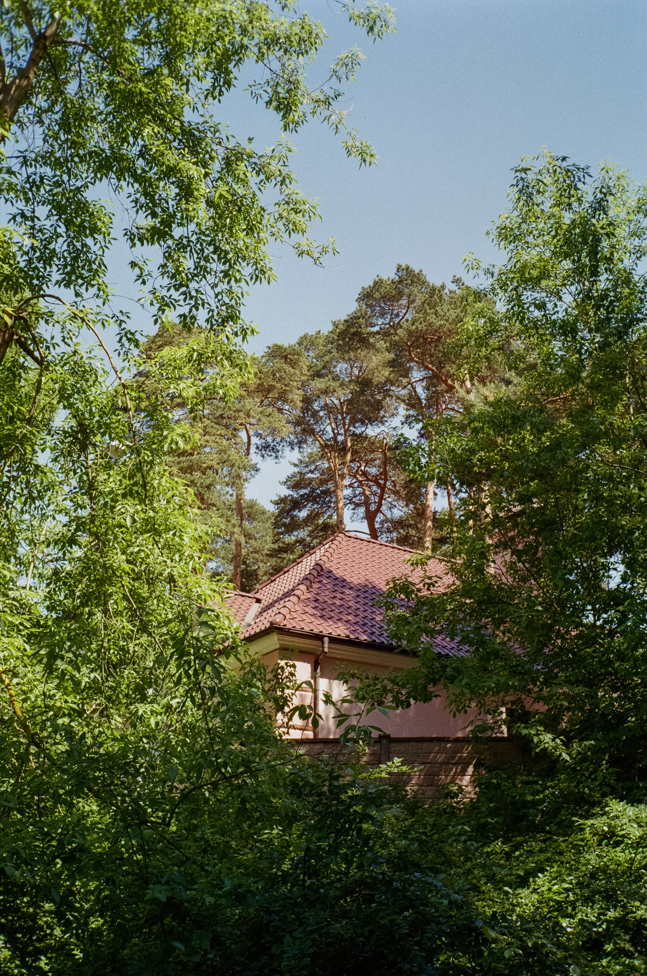 Серебряный Бор. Импрессионизм. Фотограф-документалист Мария Осокина