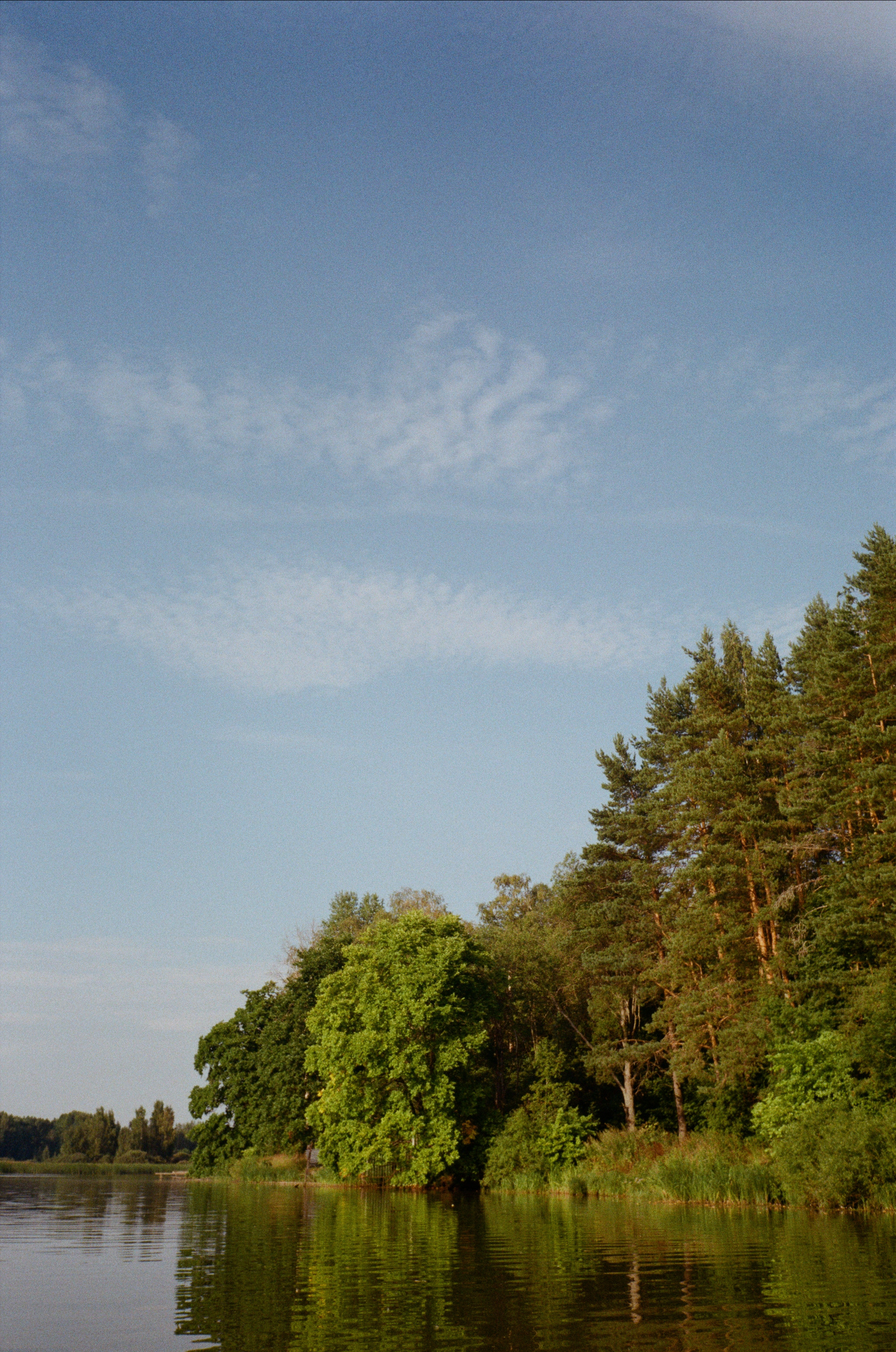 Тихая Заводь. Вечерний sup. Фотограф-документалист Мария Осокина