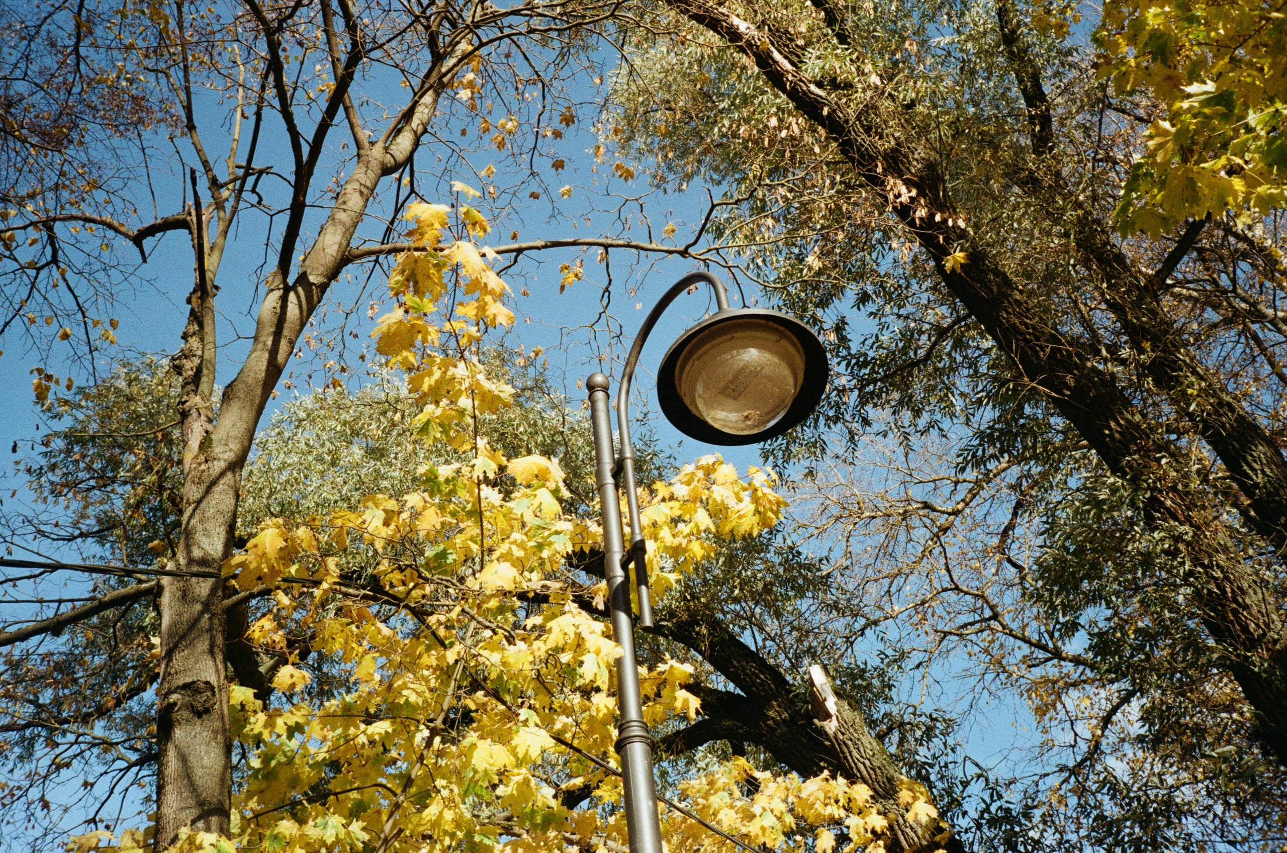 Архангельское. Золотая осень. Фотограф-документалист Мария Осокина