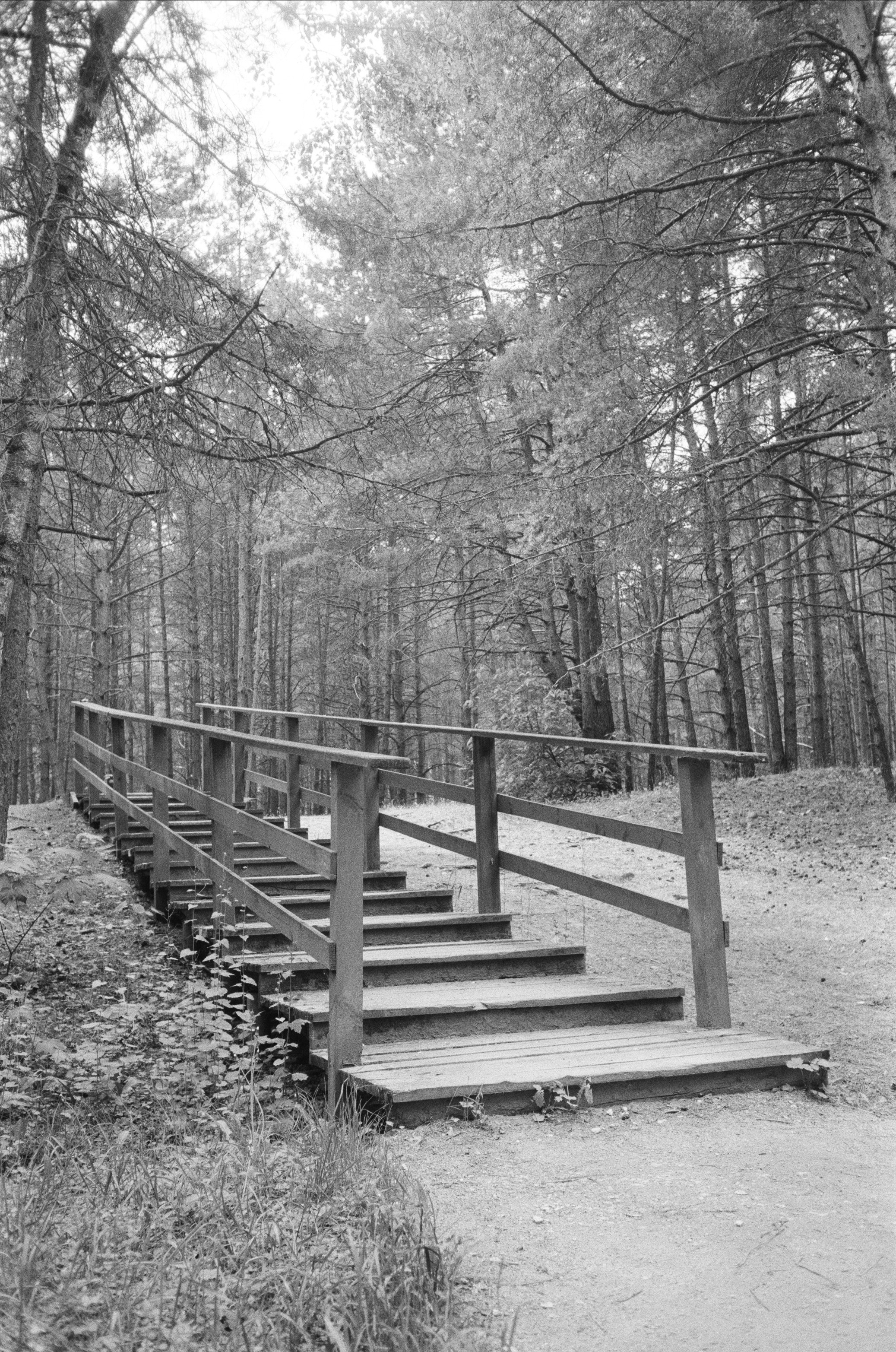 Серебряный Бор. Лето в ч/б. Фотограф-документалист Мария Осокина