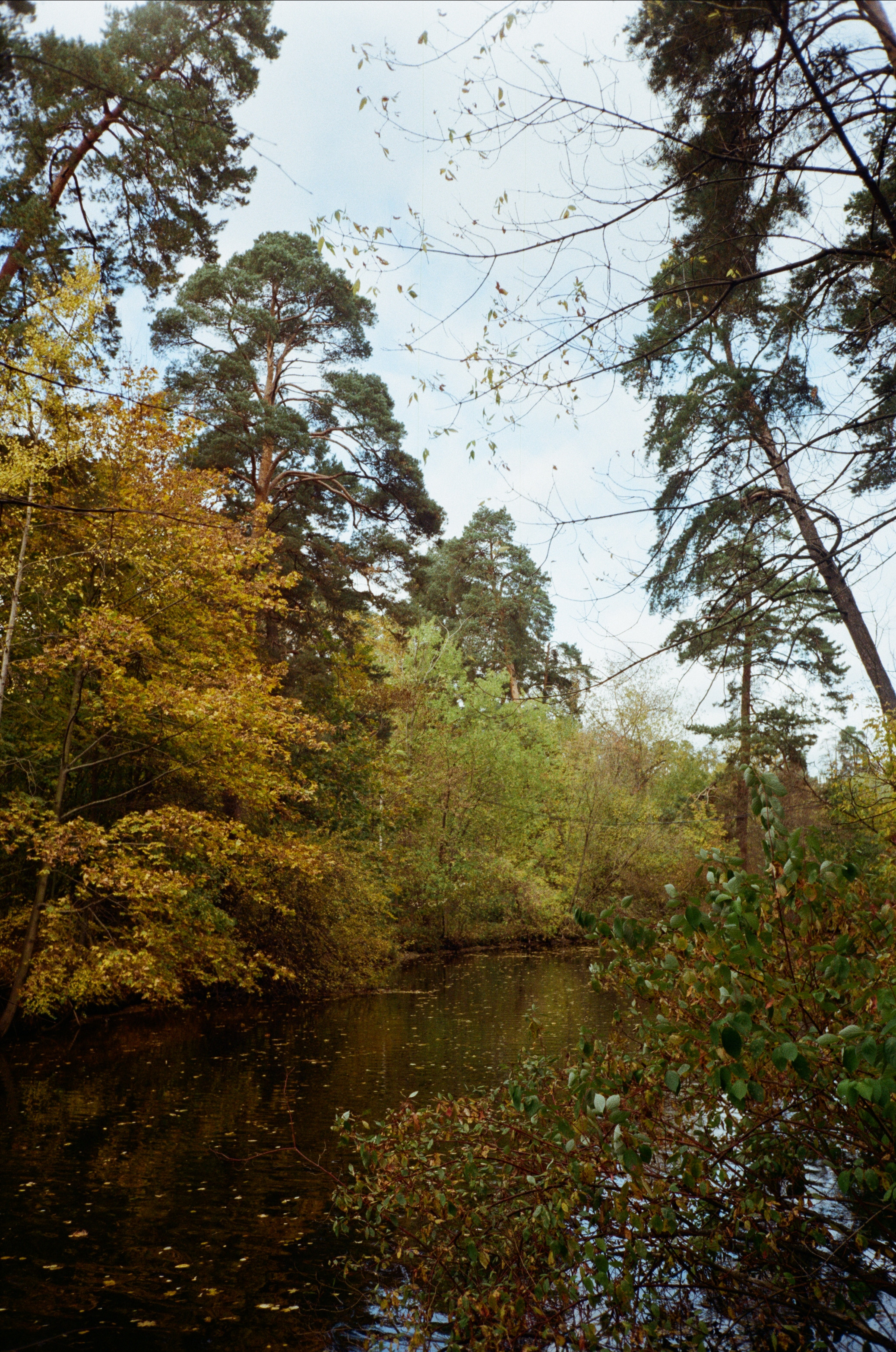 Серебряный Бор. Октябрь. Фотограф-документалист Мария Осокина