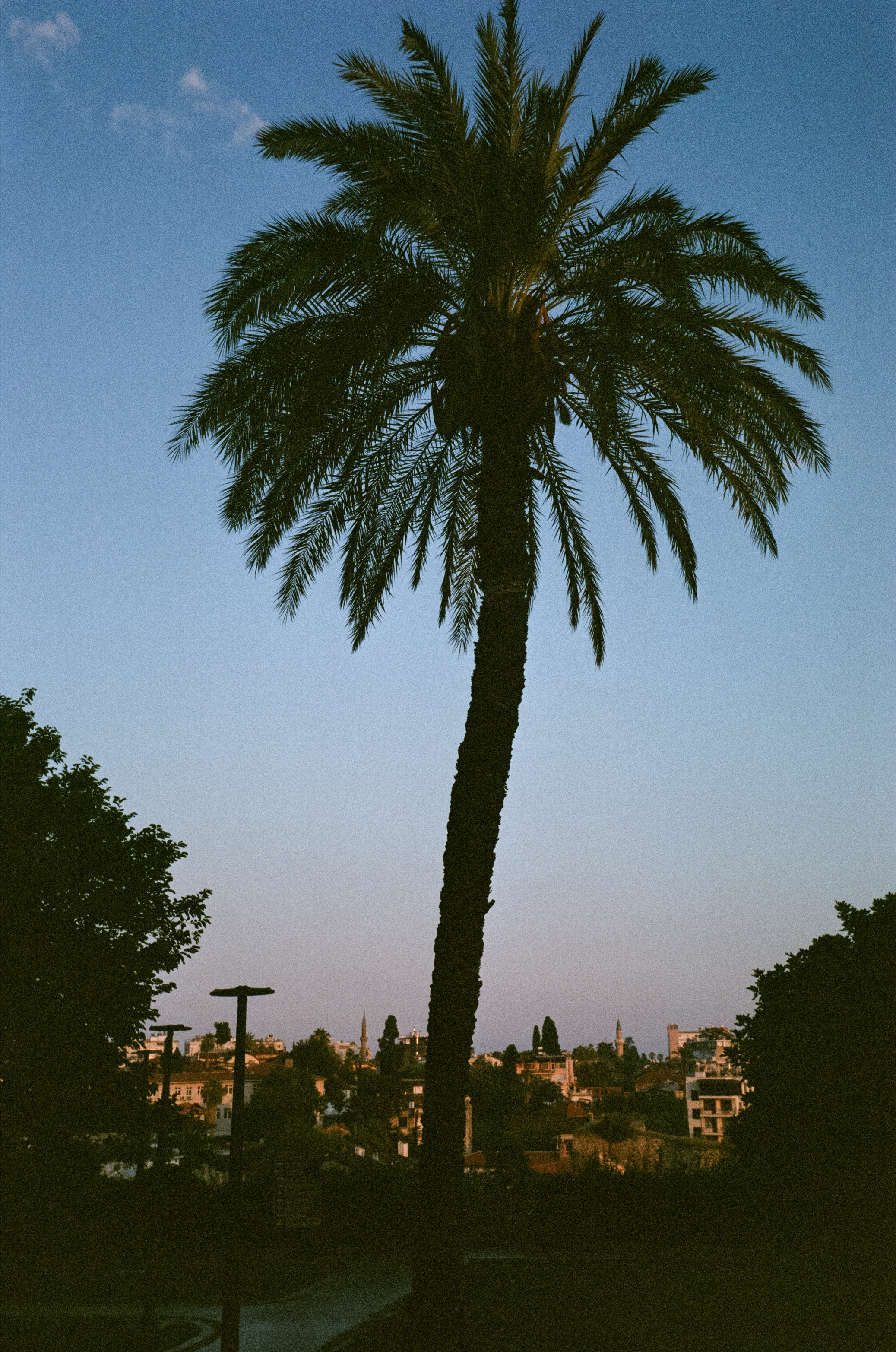 Аллея зонтиков и ночная Марина старого города. Фотограф-документалист Мария Осокина