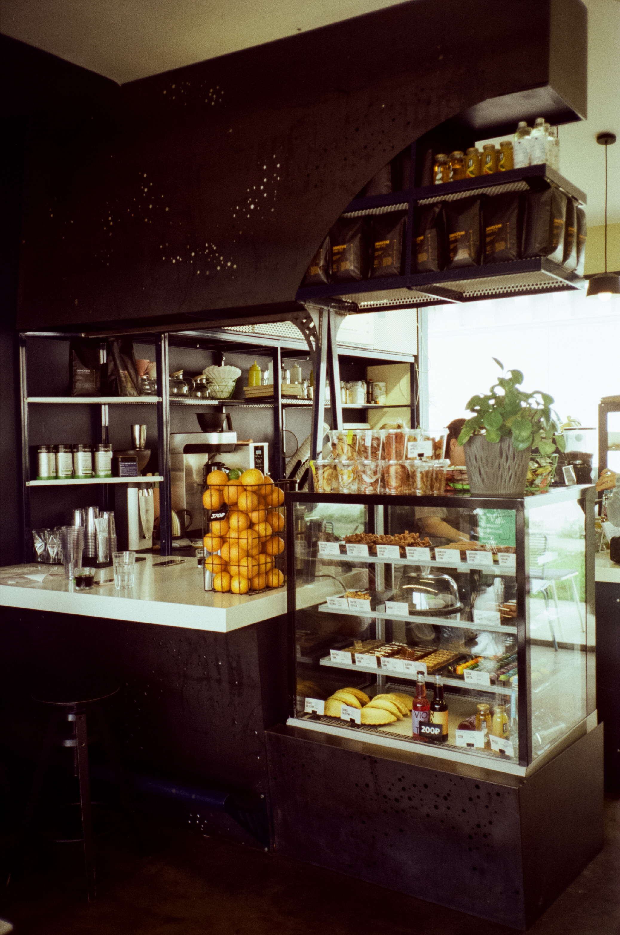 Прогулка по набережной Сочи: море, пальмы и уютная кофейня. Фотограф-документалист Мария Осокина