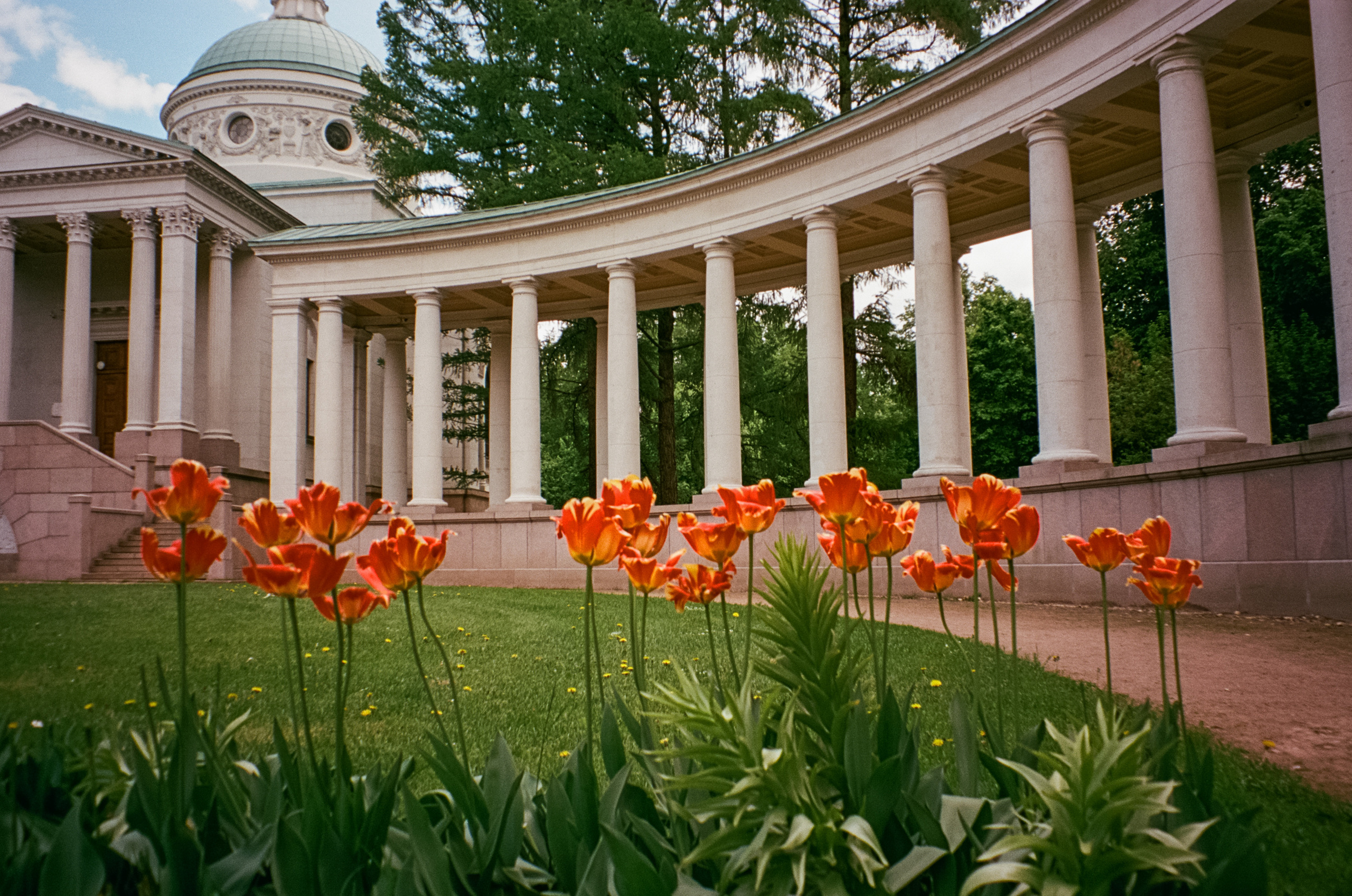 Архангельское. Июнь. Фотограф-документалист Мария Осокина