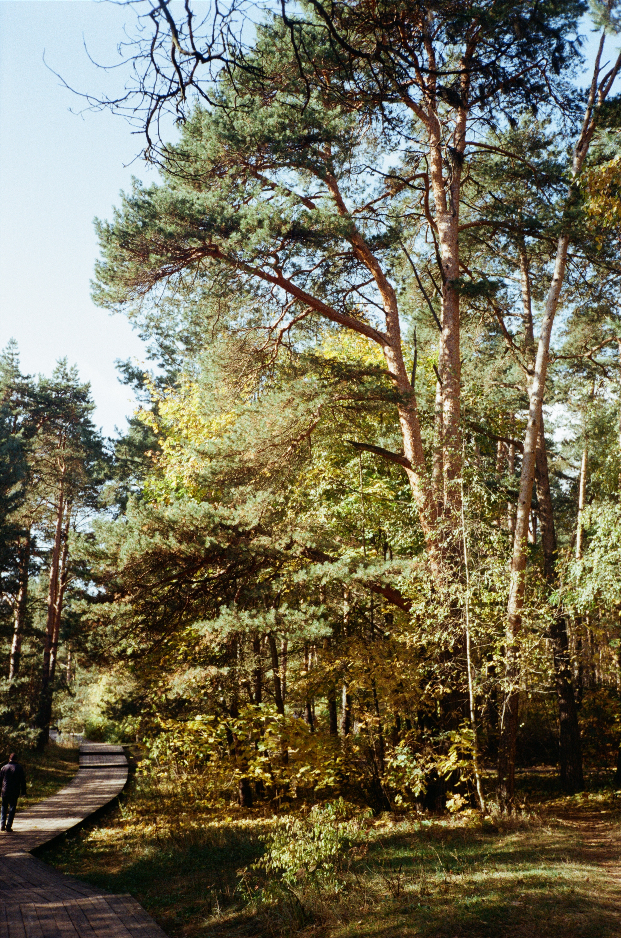 Серебряный Бор. Октябрь. Фотограф-документалист Мария Осокина