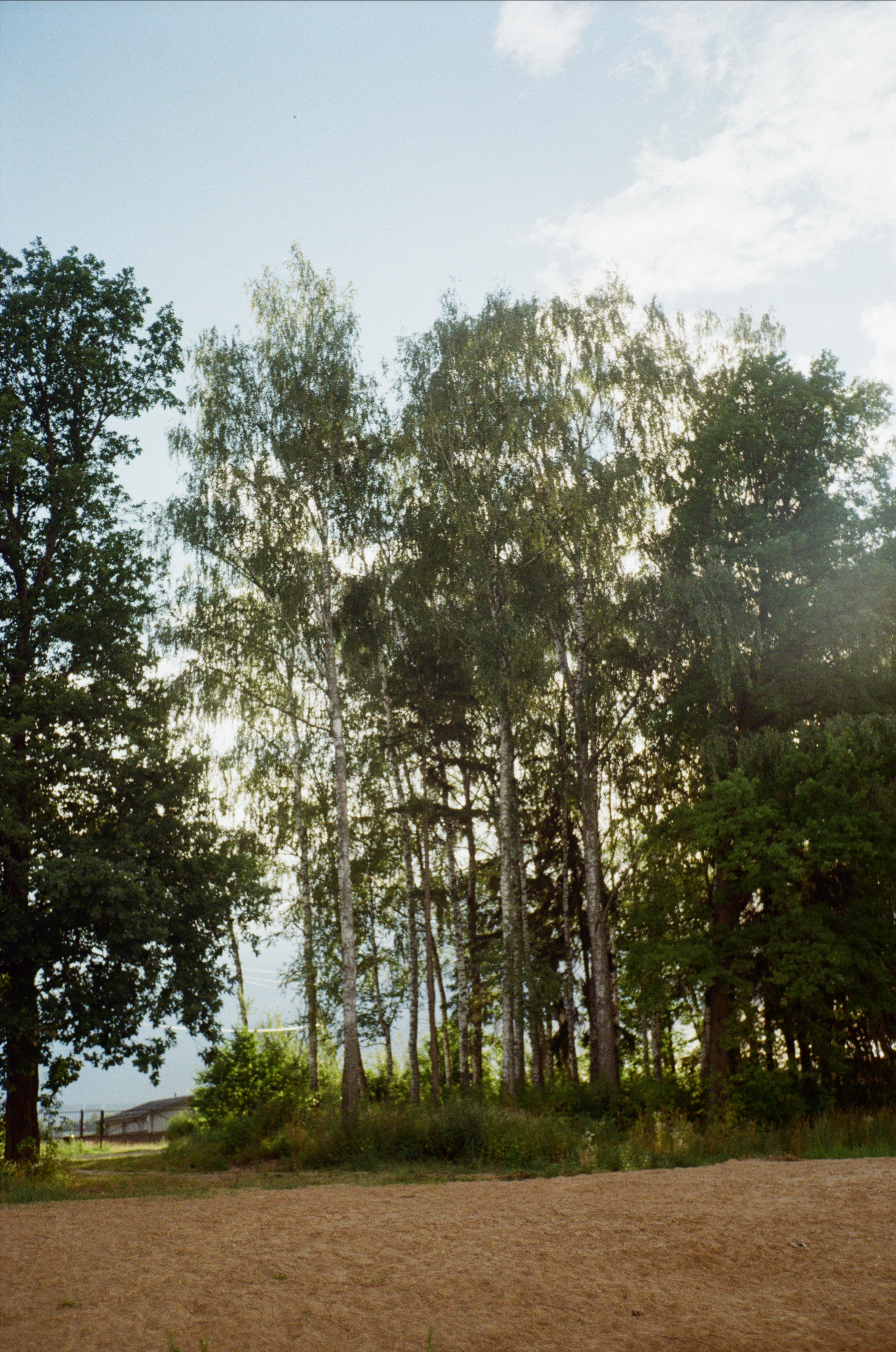 Тихая Заводь. Лес и пляж. Фотограф-документалист Мария Осокина