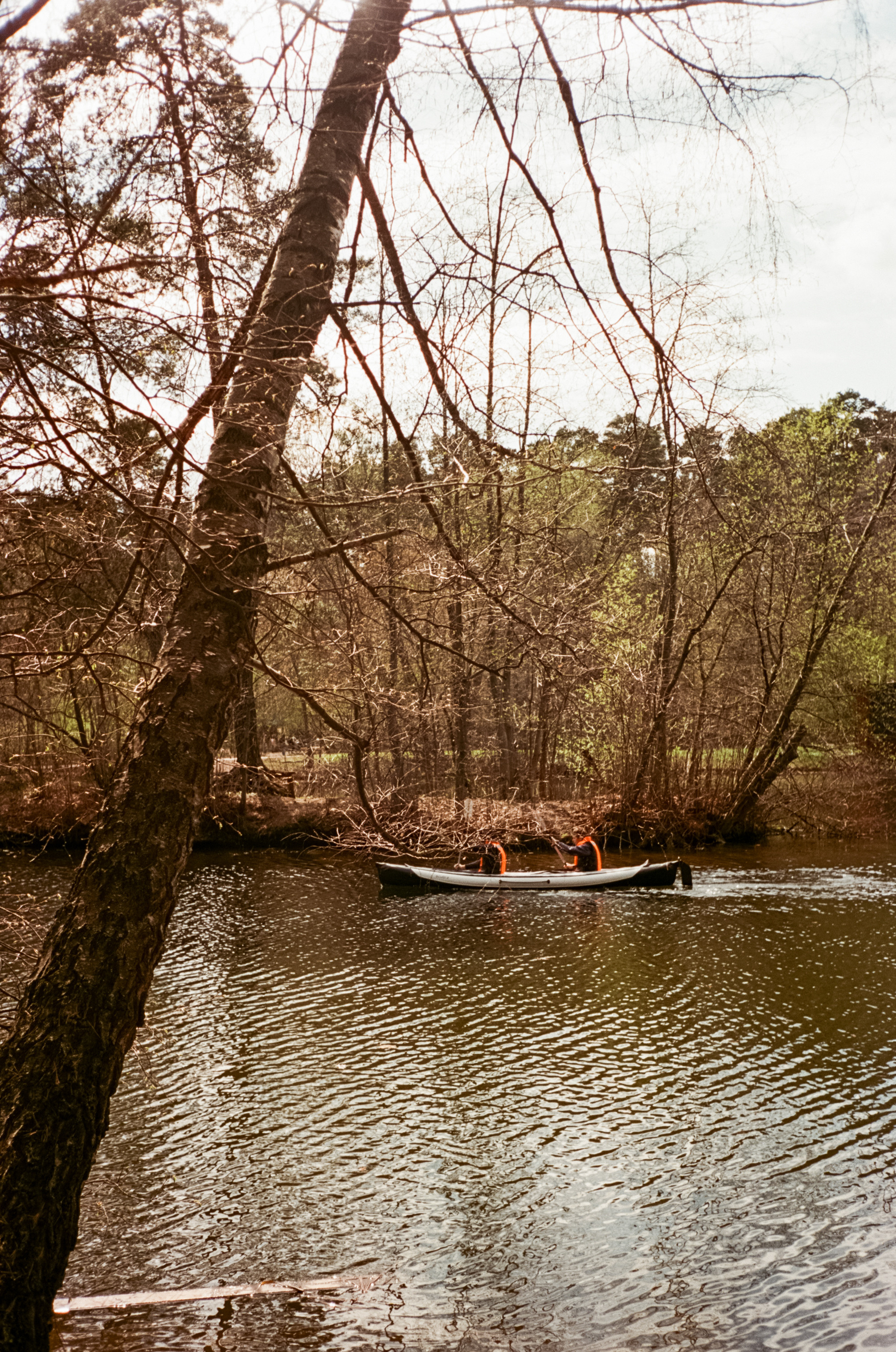 Серебряный Бор. Май. Сепия. Фотограф-документалист Мария Осокина