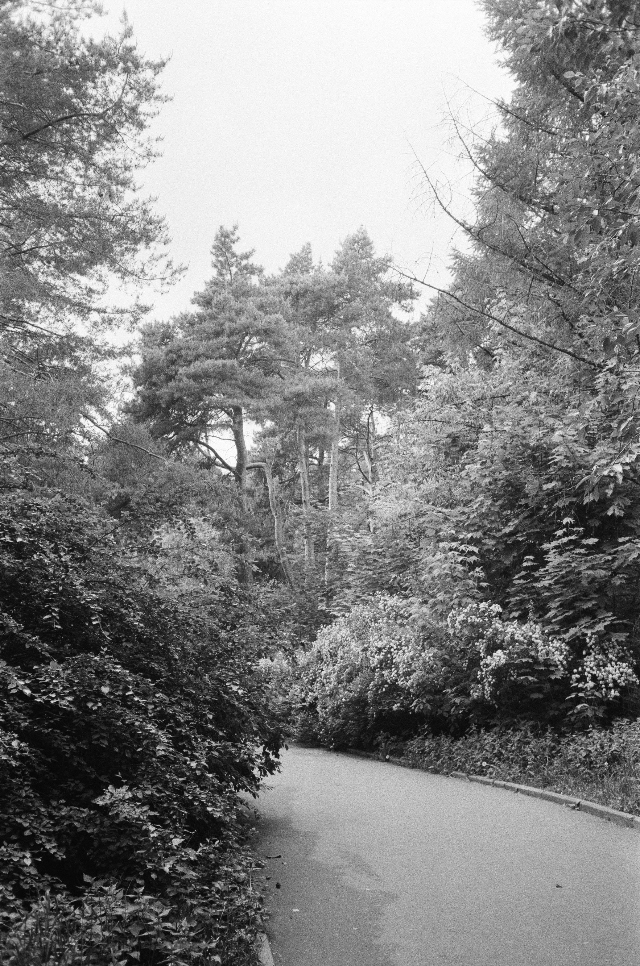 Серебряный Бор. Лето в ч/б. Фотограф-документалист Мария Осокина