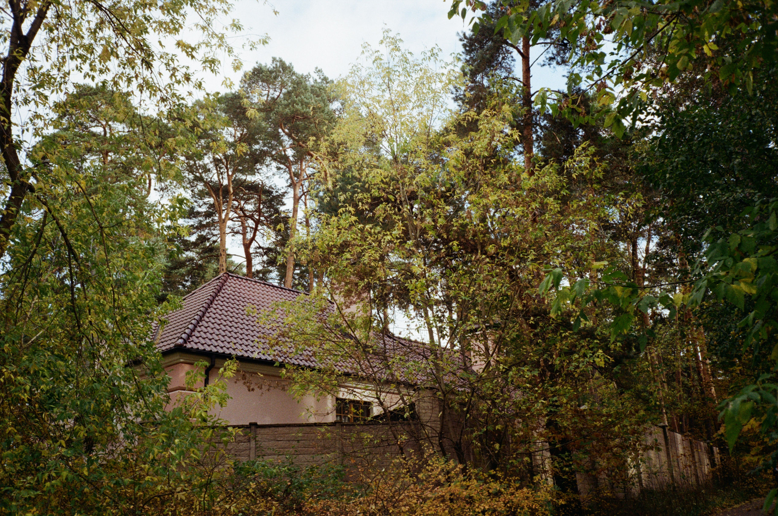 Серебряный Бор. Октябрь. Фотограф-документалист Мария Осокина