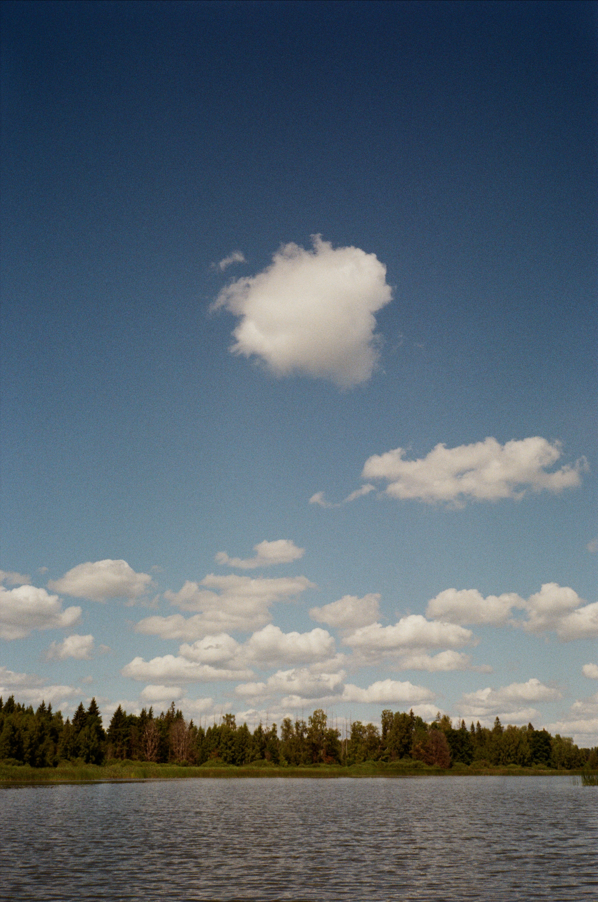 Тихая заводь. Сапборд. Фотограф-документалист Мария Осокина