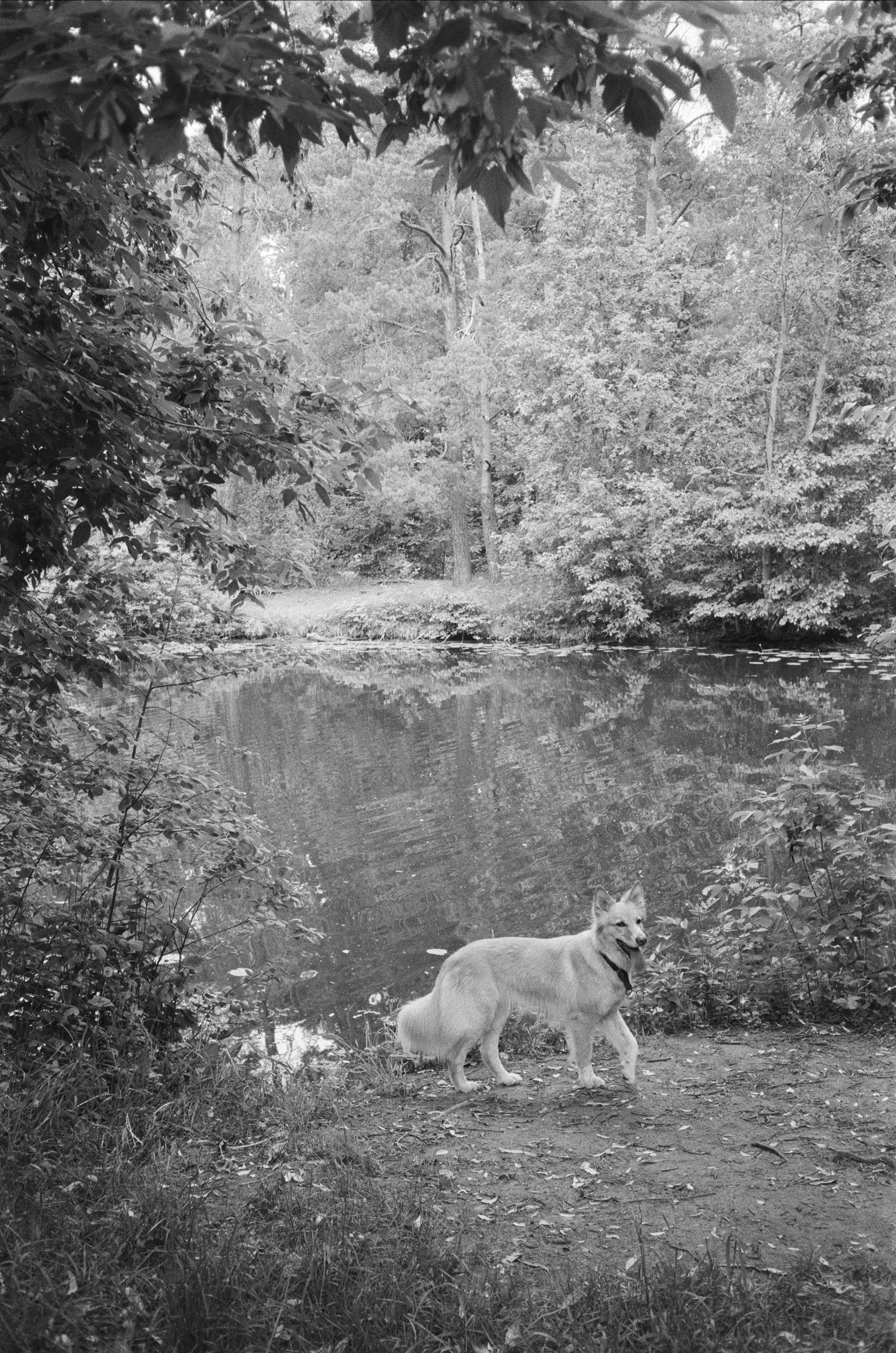 Серебряный Бор. Лето в ч/б. Фотограф-документалист Мария Осокина