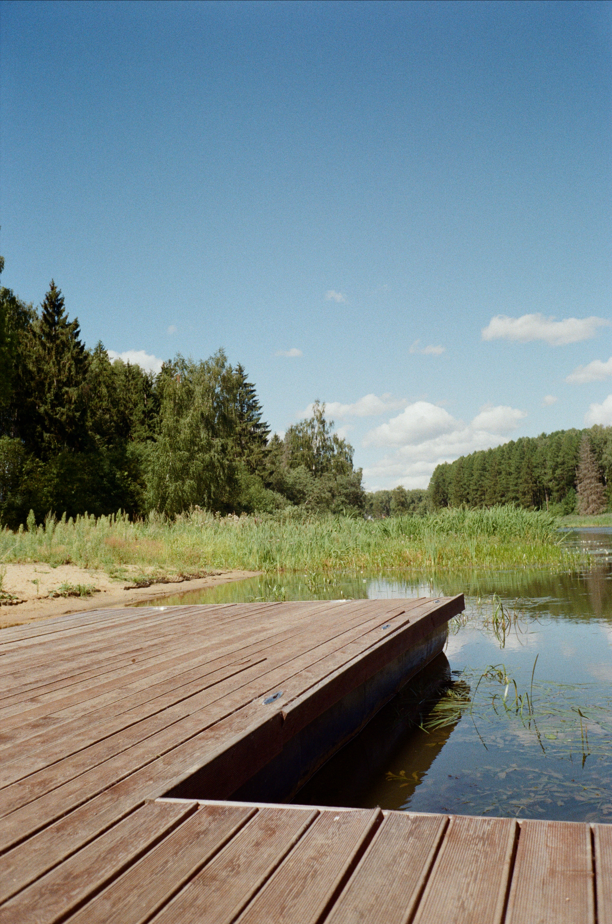 Тихая заводь. Сапборд. Фотограф-документалист Мария Осокина