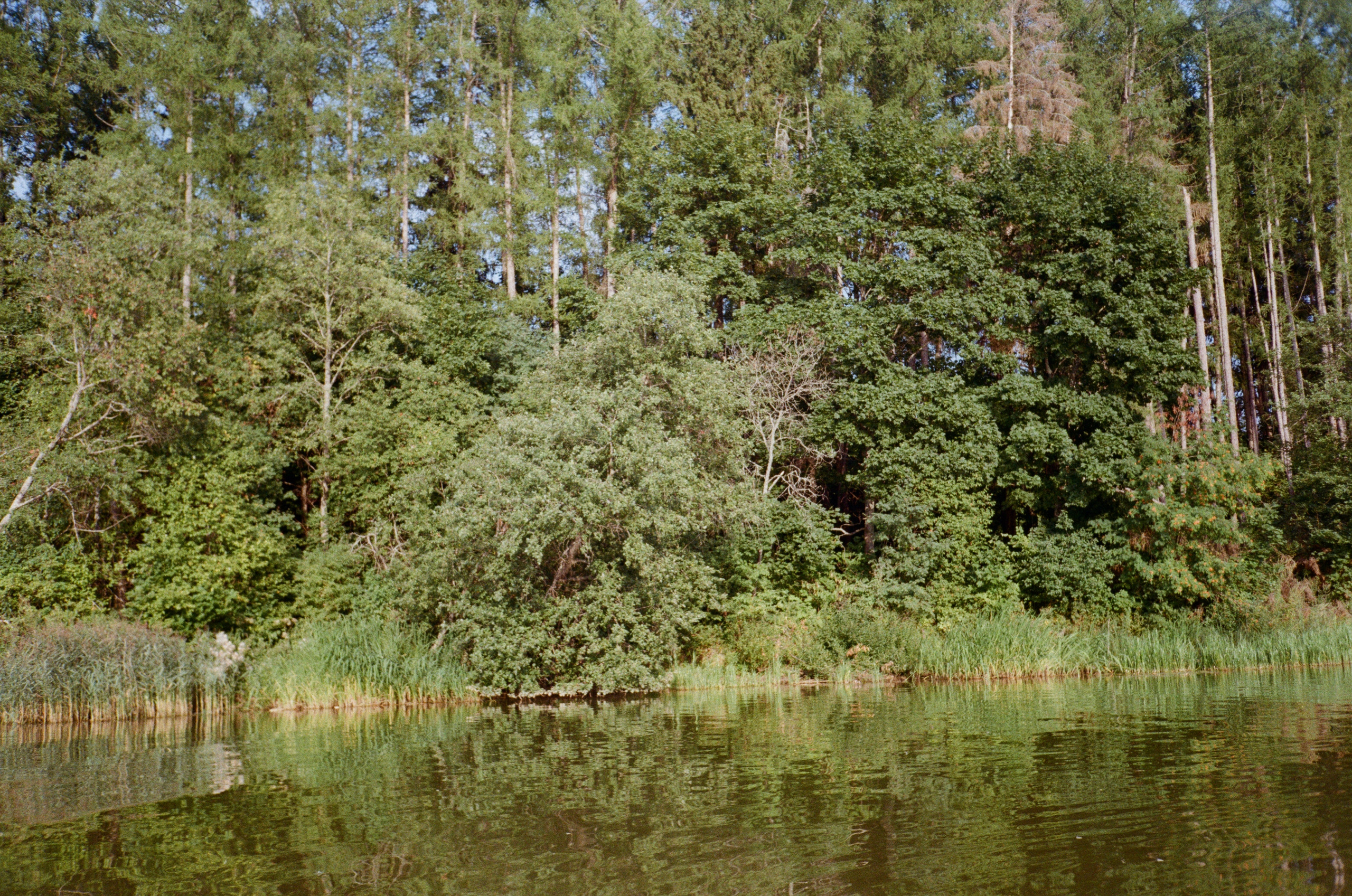 Тихая Заводь. Вечерний sup. Фотограф-документалист Мария Осокина