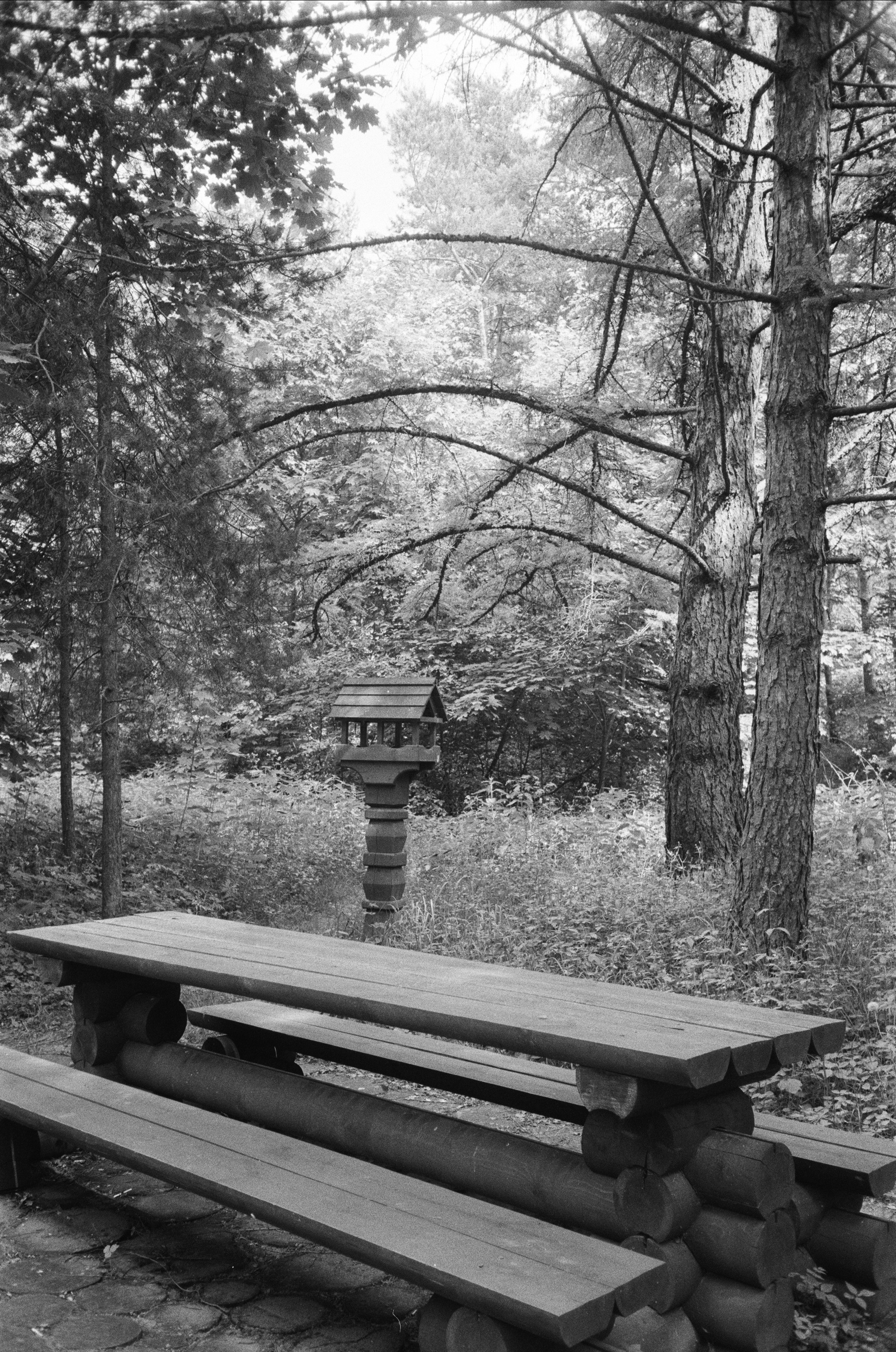 Серебряный Бор. Лето в ч/б. Фотограф-документалист Мария Осокина